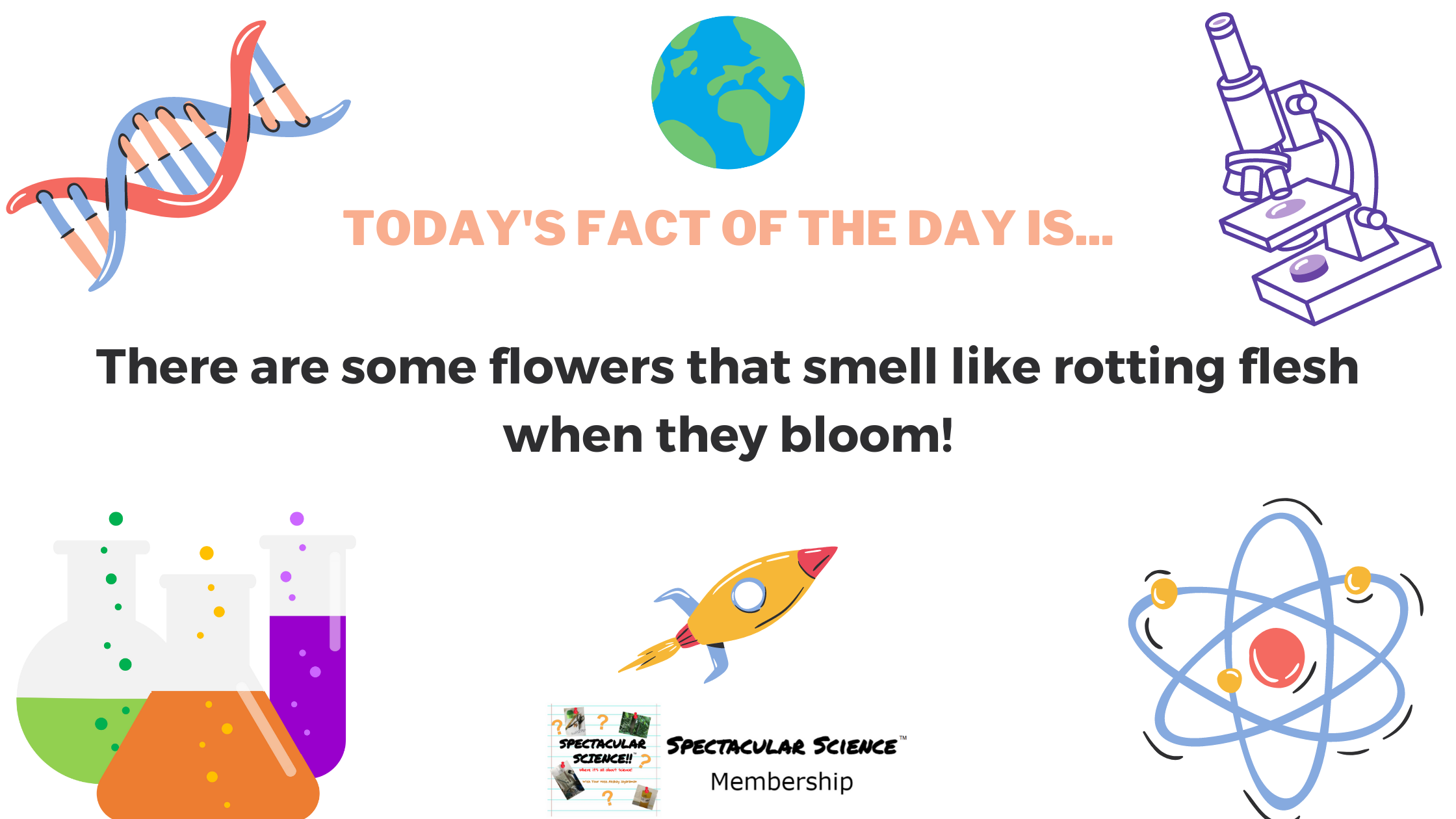 Fact of the Day Image Apr. 13th