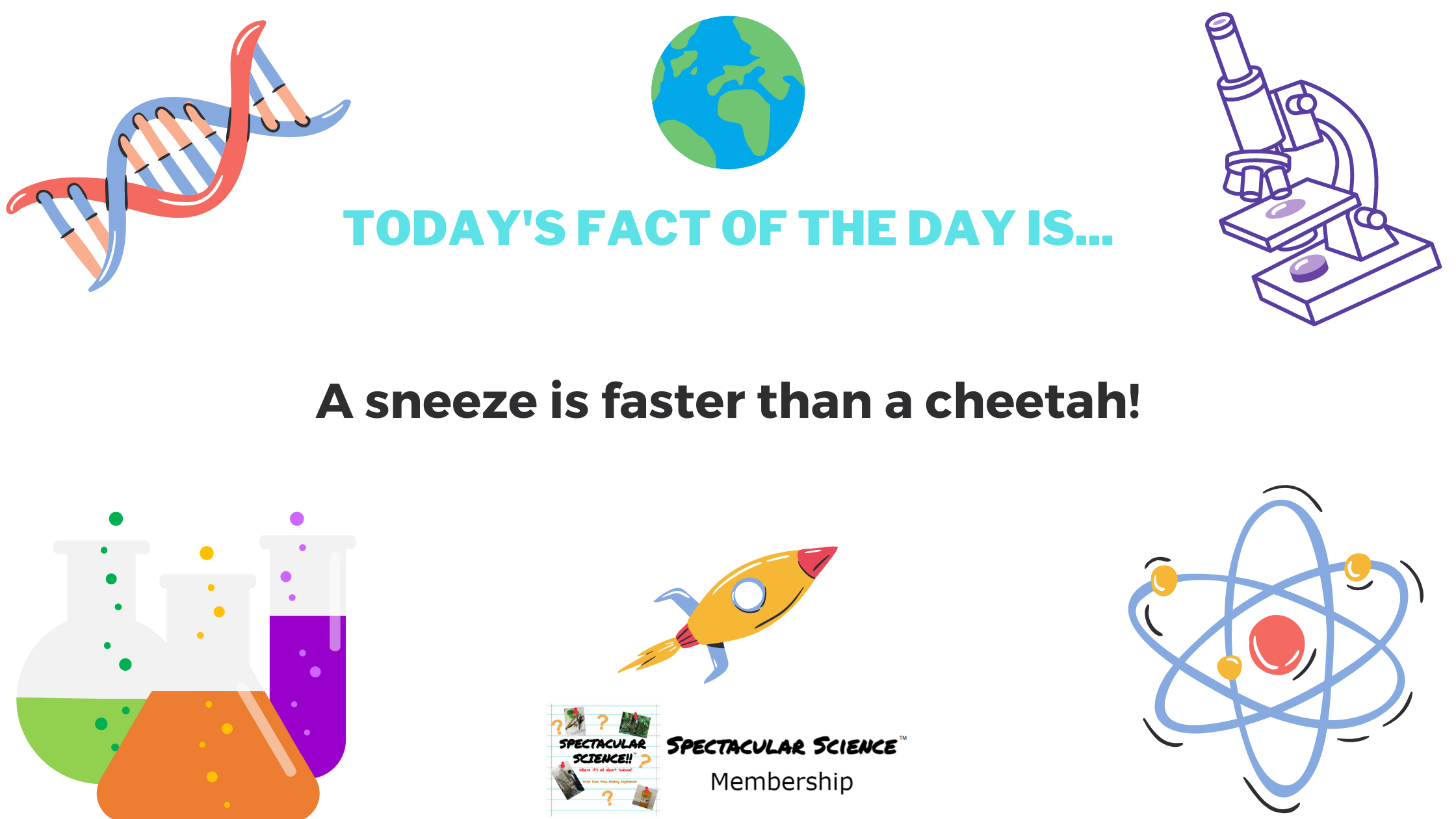 Fact of the Day Image Apr. 18th