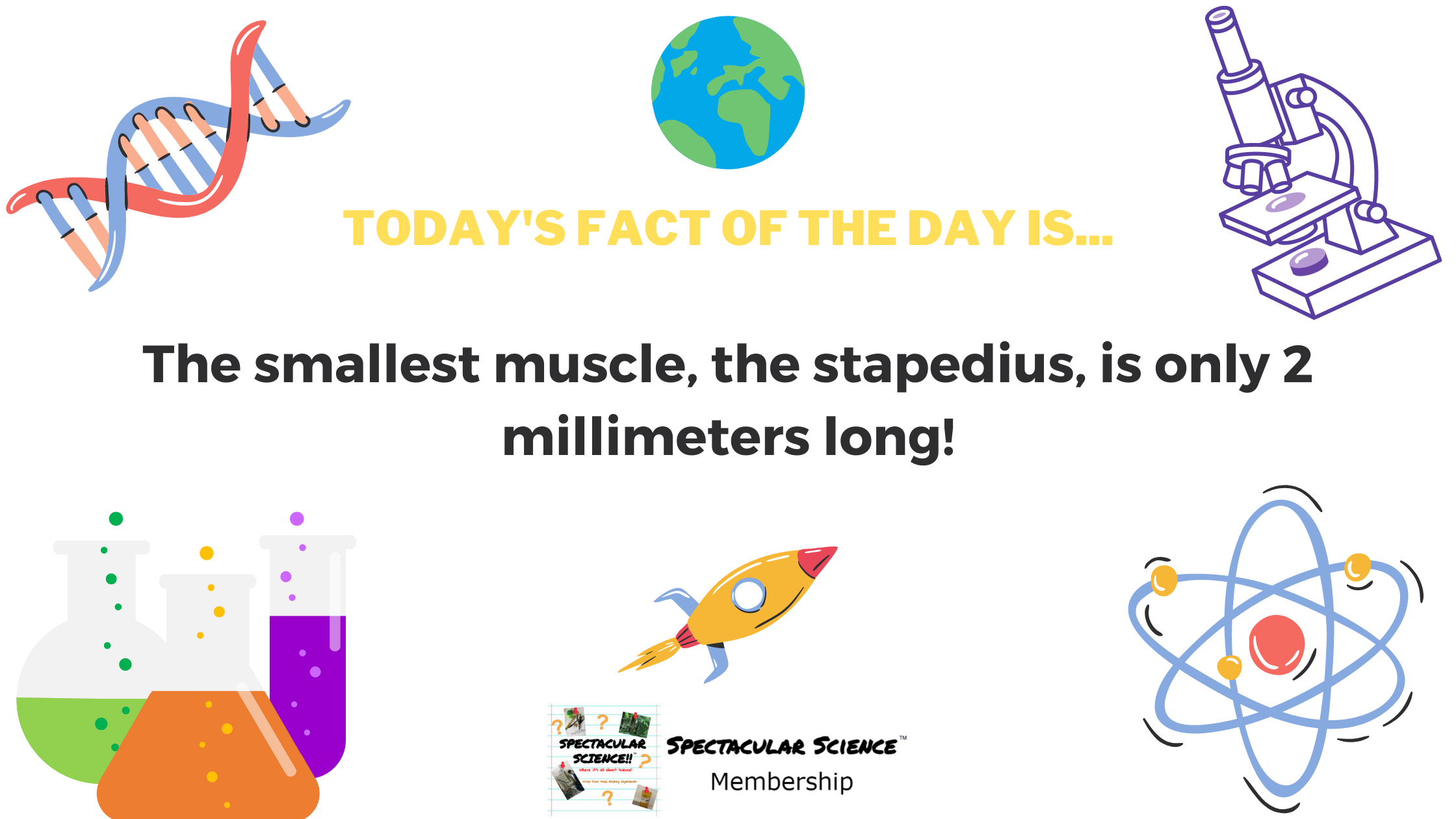 Fact of the Day Image Apr. 25th
