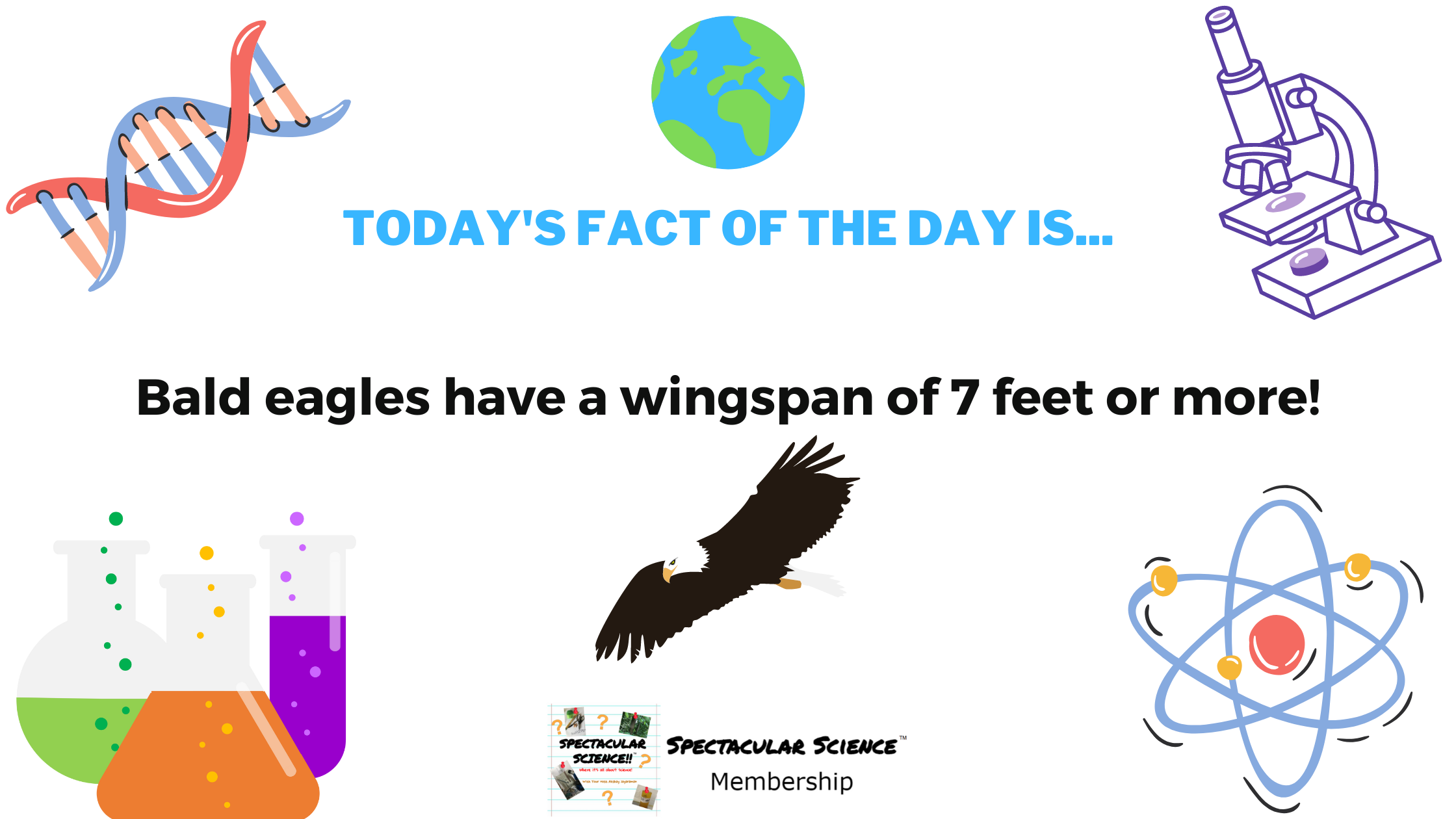 Fact of the Day Image August 1st
