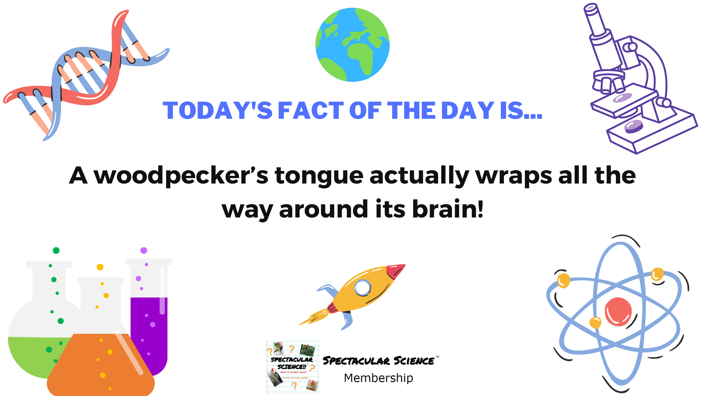 Fact of the Day Image August 11th