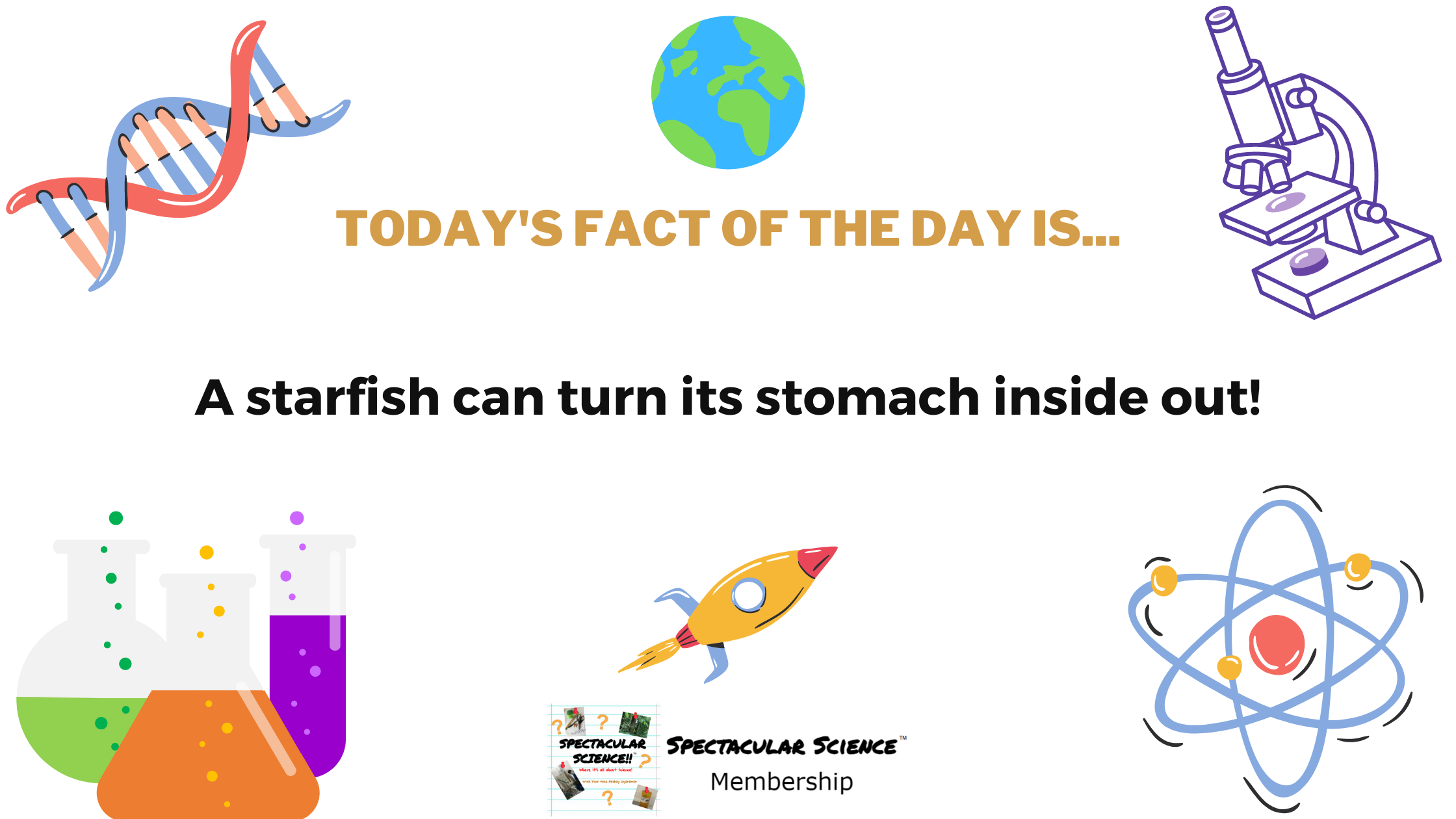 Fact of the Day Image August 12th