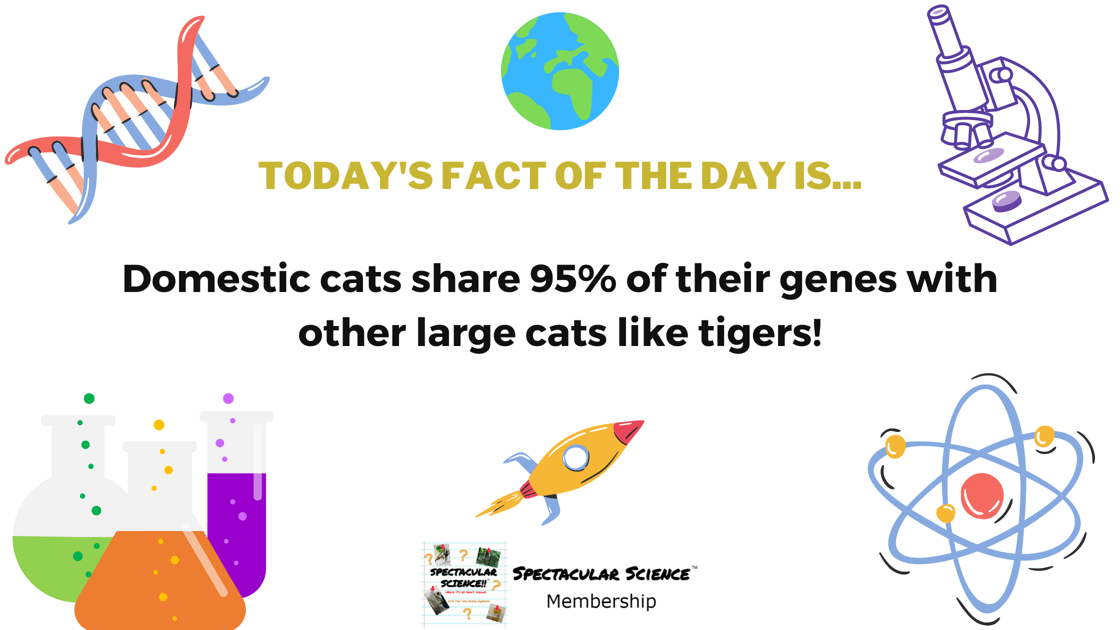 Fact of the Day Image August 17th