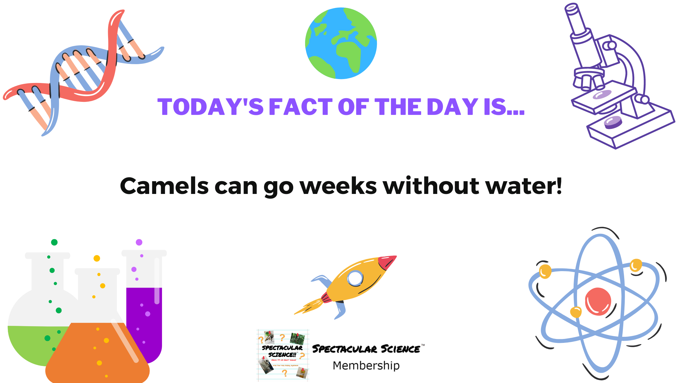 Fact of the Day Image August 26th