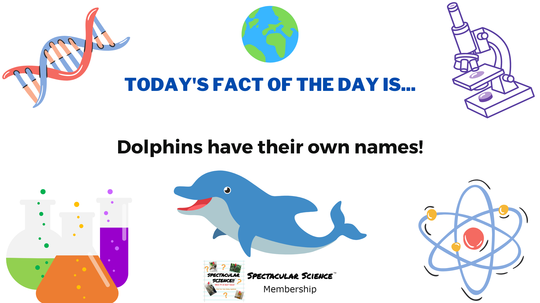 Fact of the Day Image August 28th