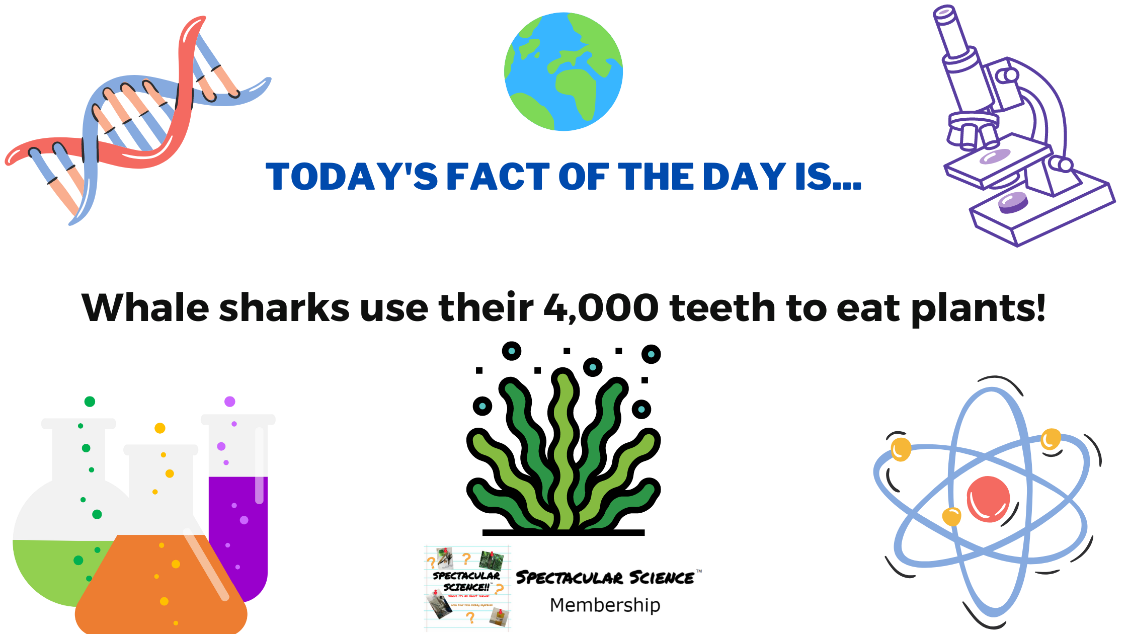 Fact of the Day Image August 3rd