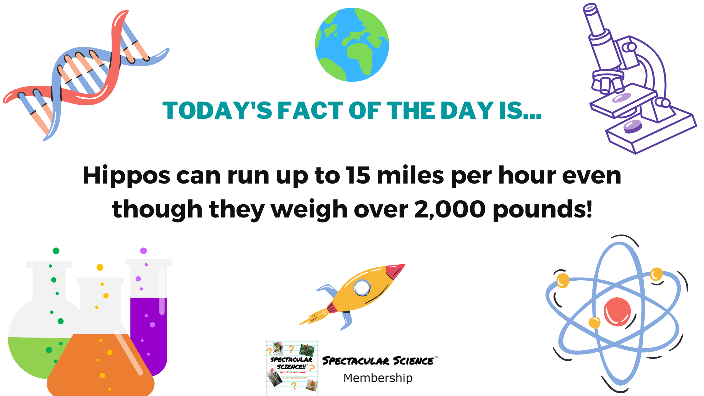 Fact of the Day Image August 4th