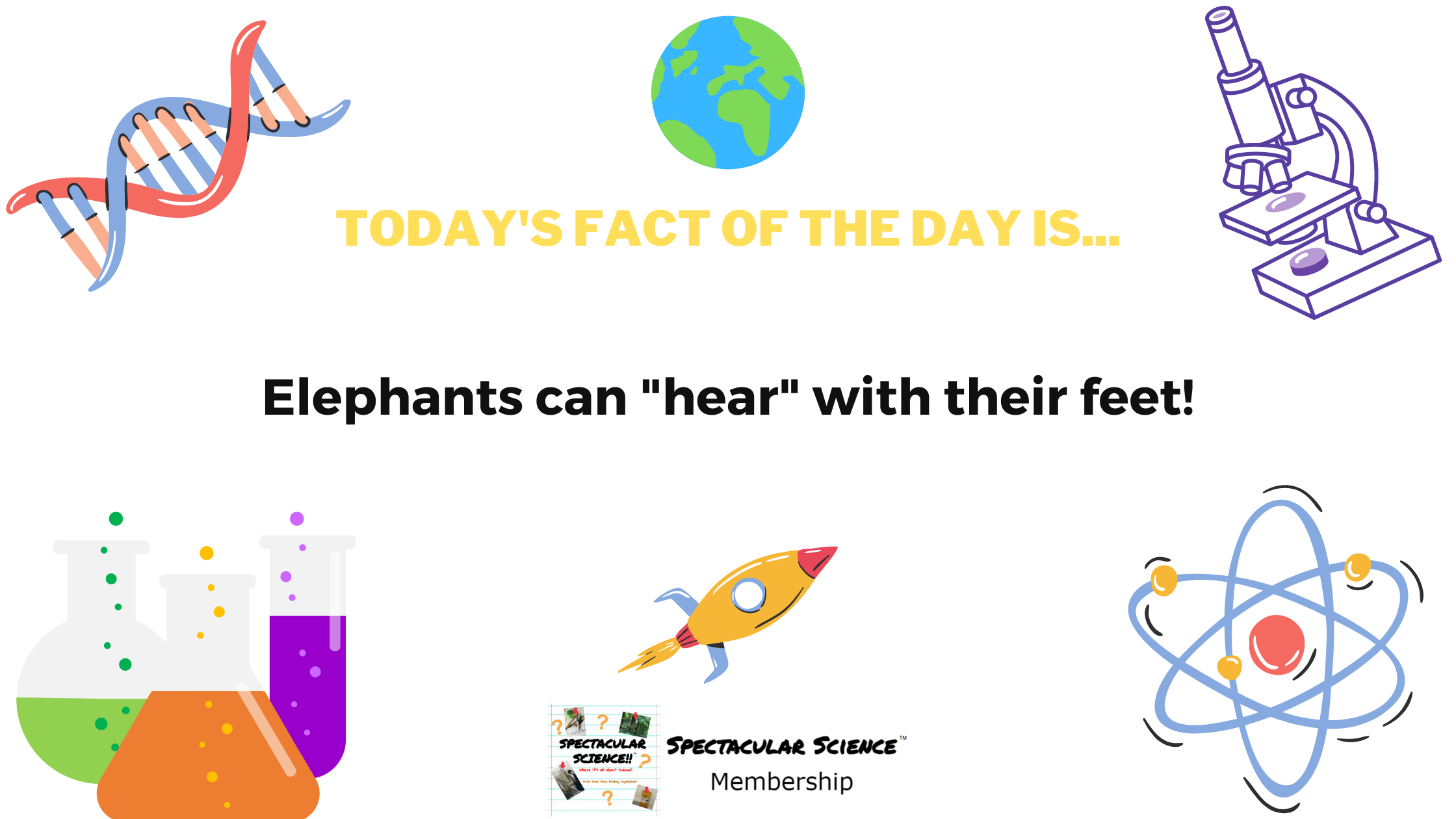 Fact of the Day Image August 8th