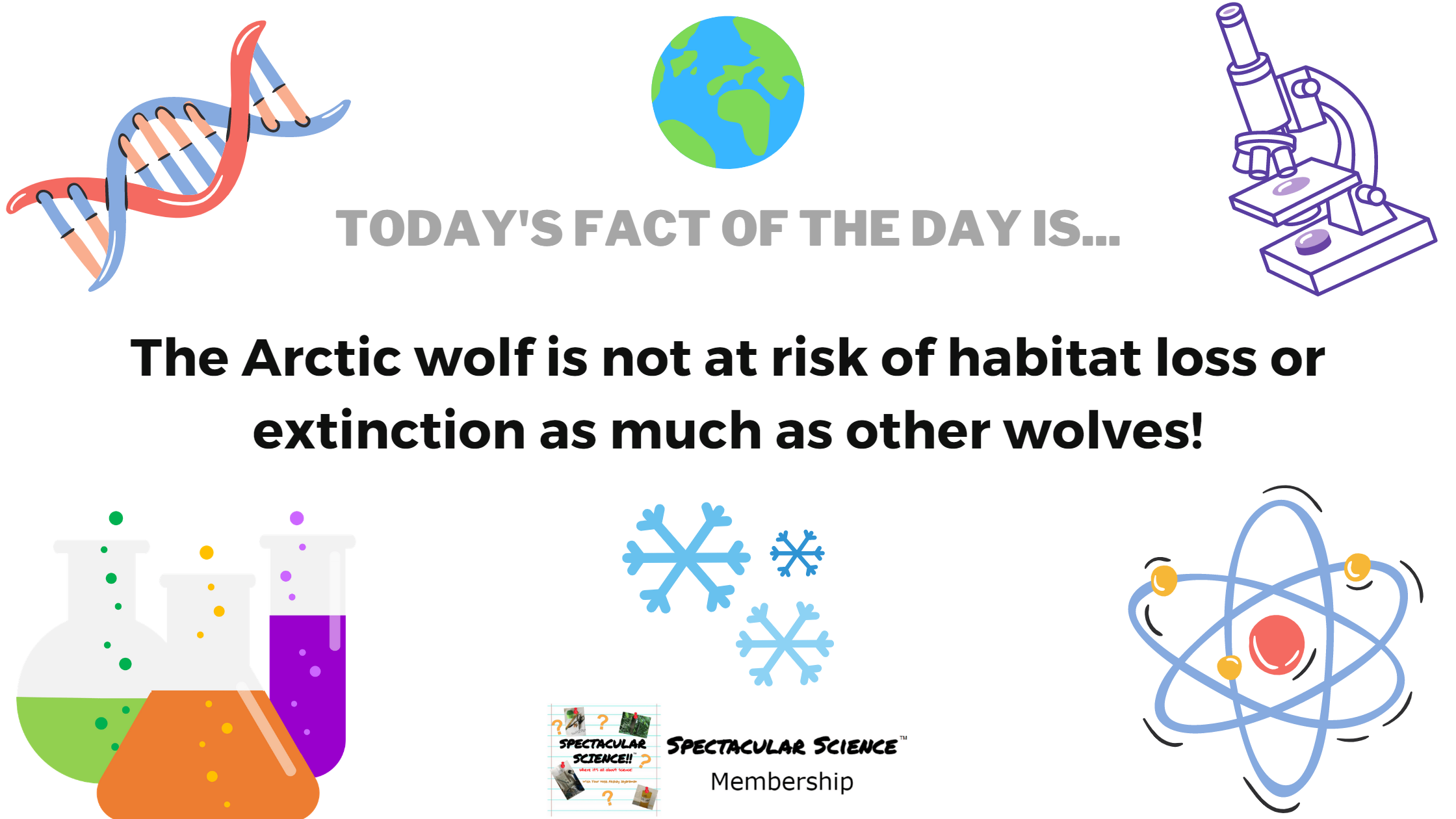 Fact of the Day Image December 1st