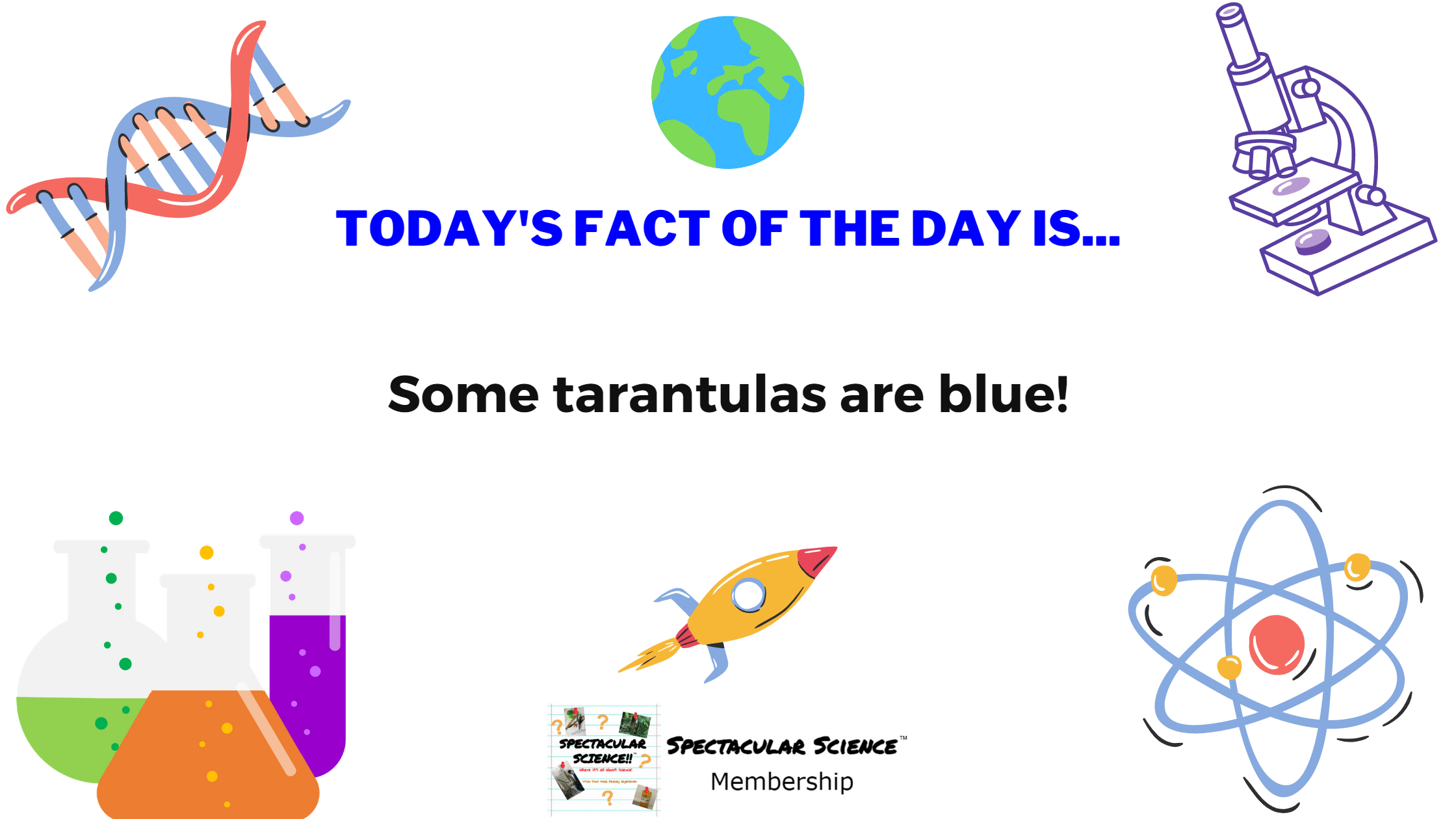 Fact of the Day Image December 10th