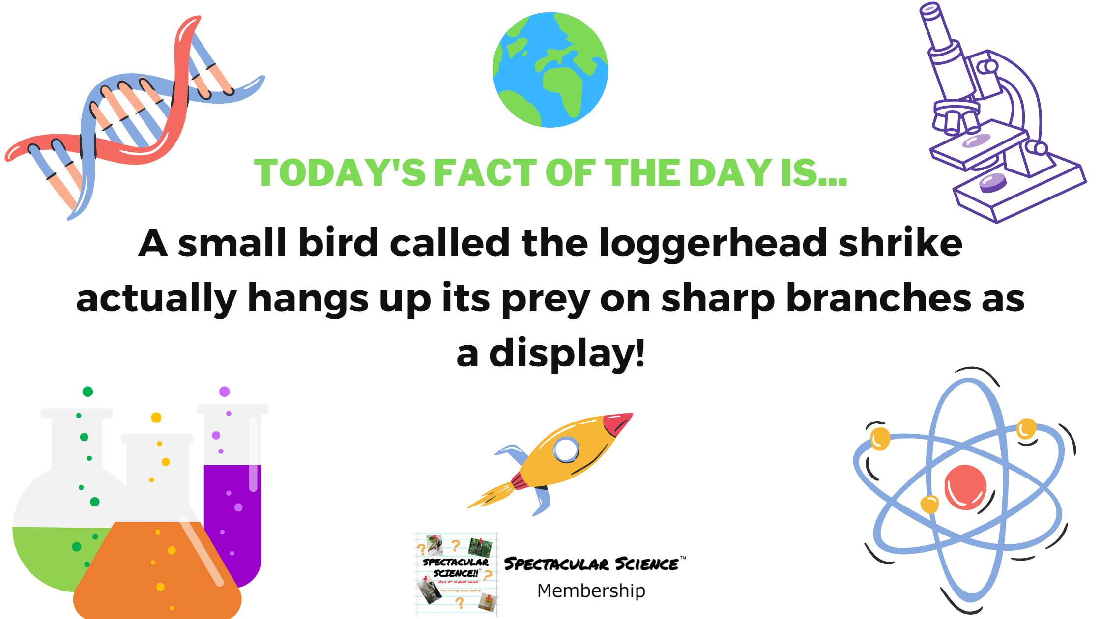 Fact of the Day Image December 11th