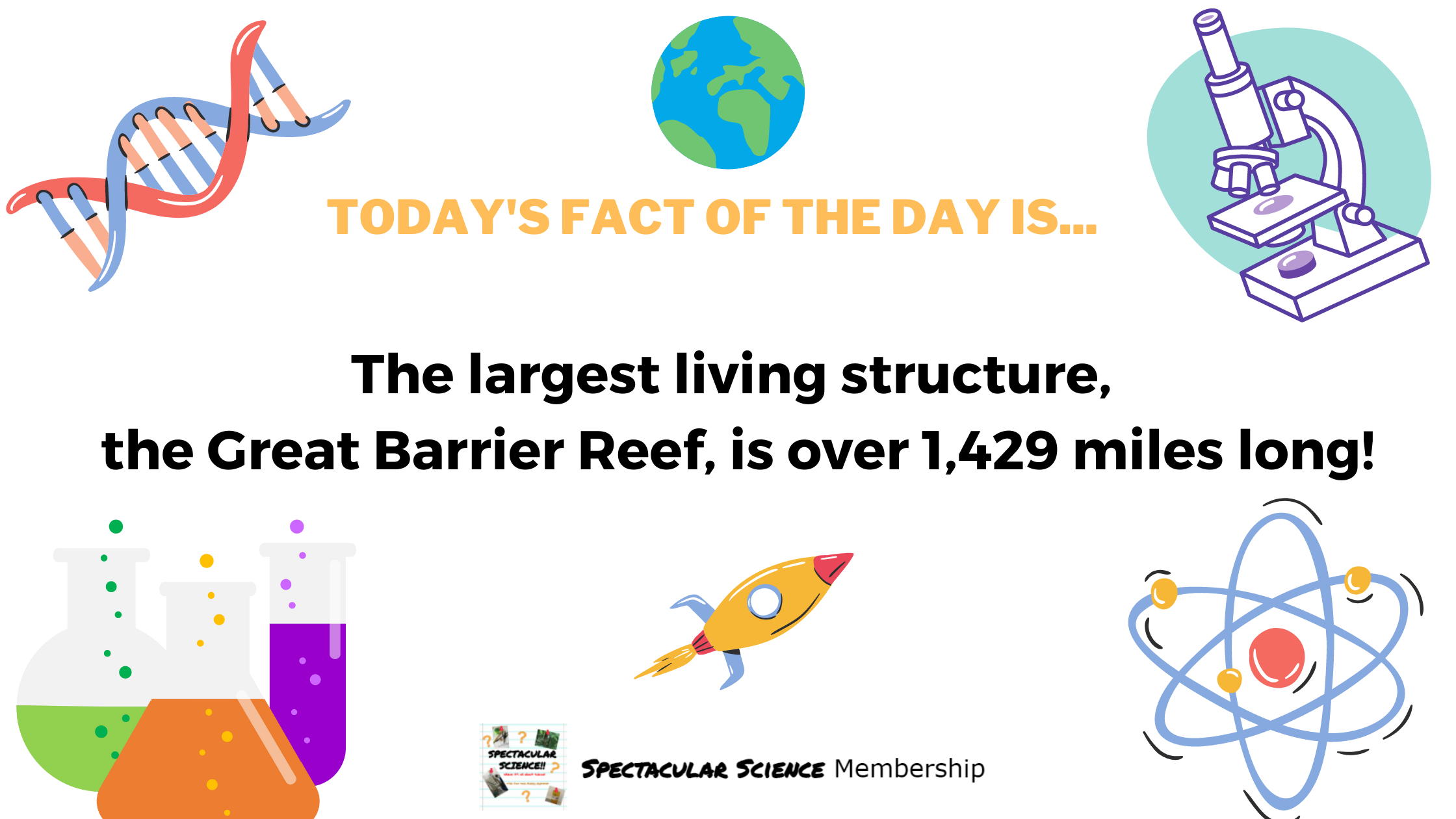 Fact of the Day Image Dec. 11th
