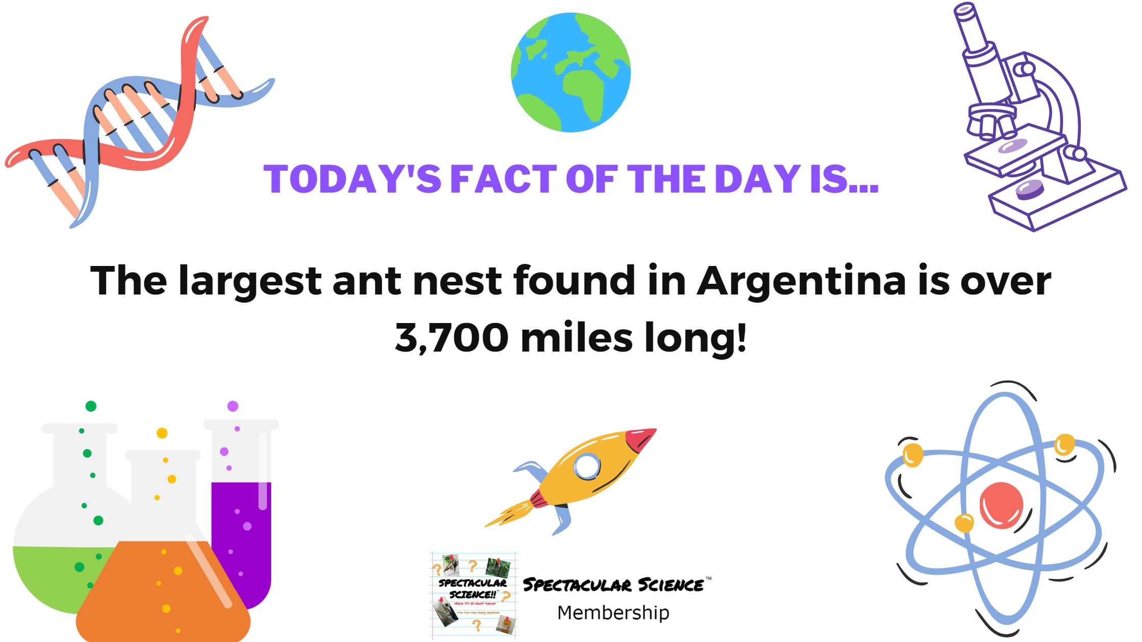 Fact of the Day Image December 14th