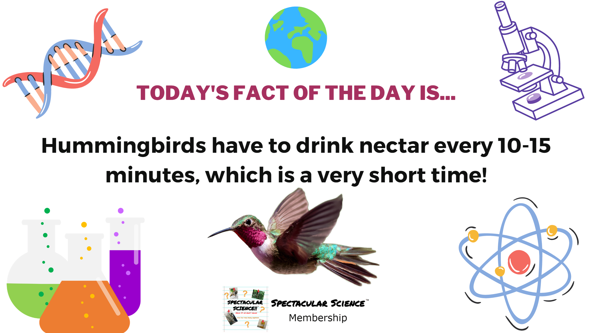 Fact of the Day Image December 17th