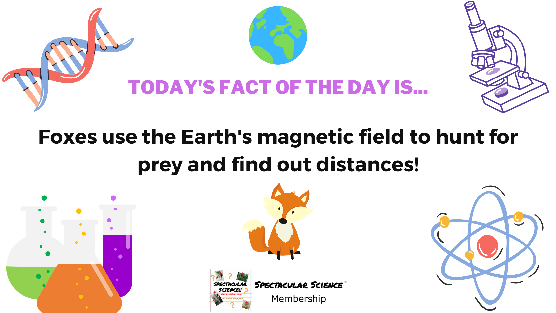 Fact of the Day Image December 18th