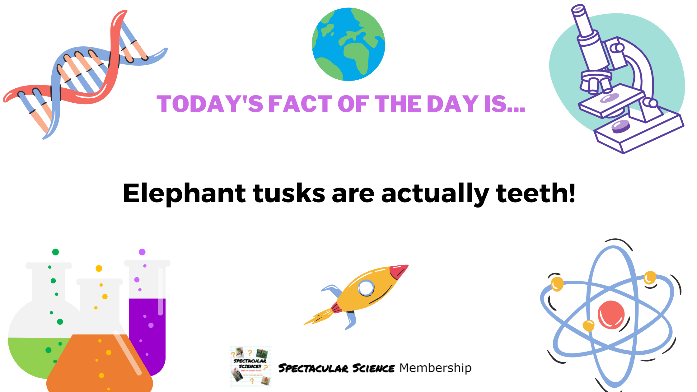 Fact of the Day Image Dec. 2nd