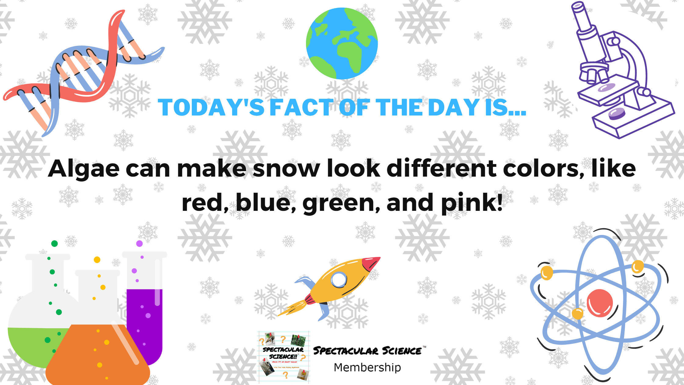 Fact of the Day Image December 23rd