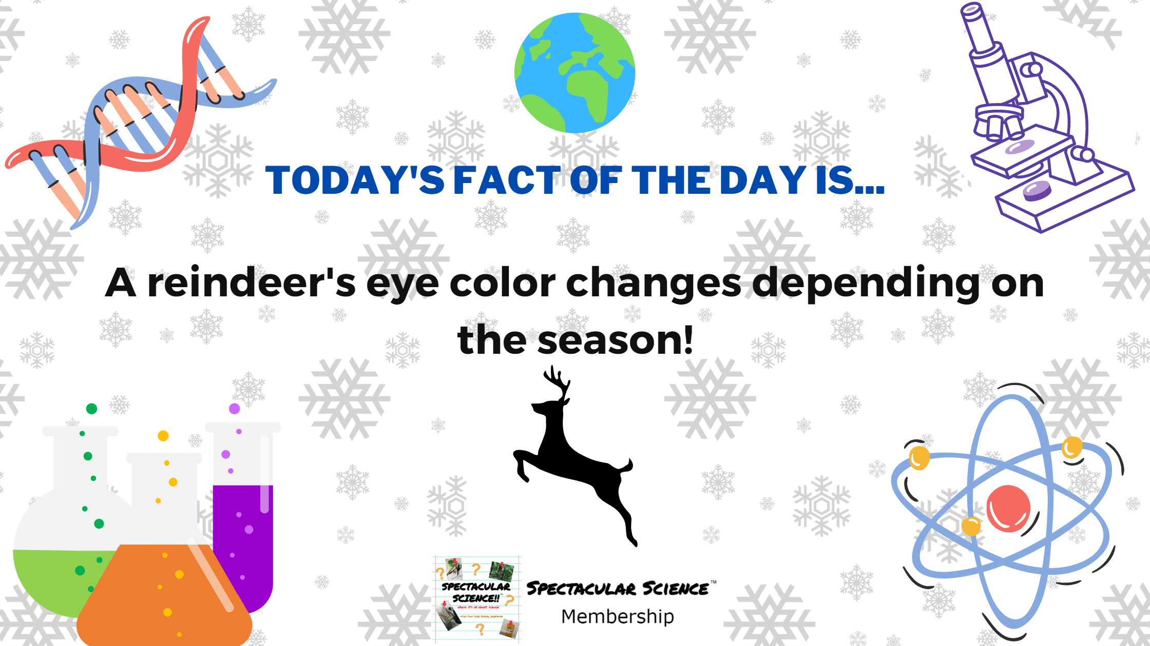Fact of the Day Image December 24th