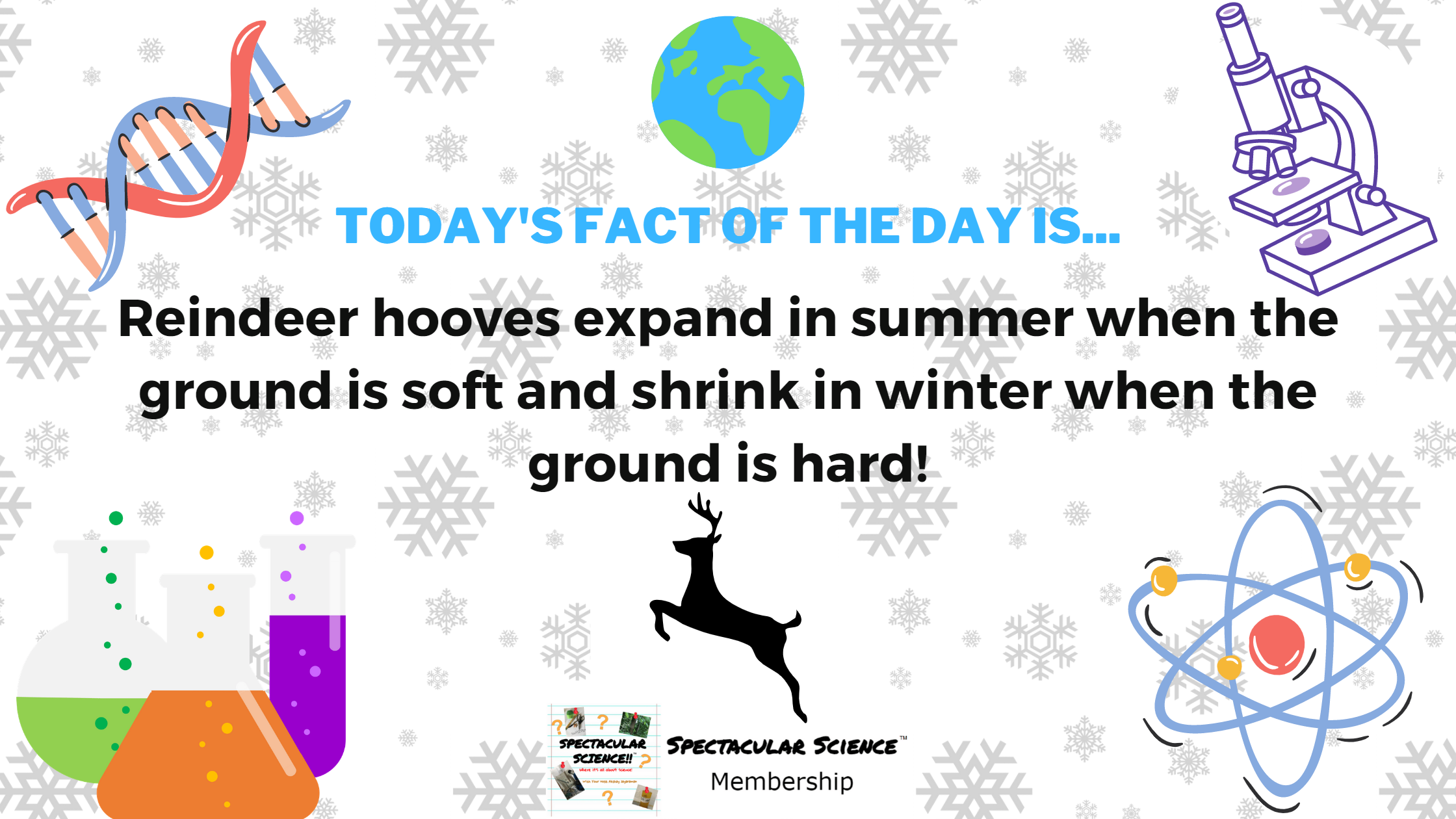 Fact of the Day Image December 25th