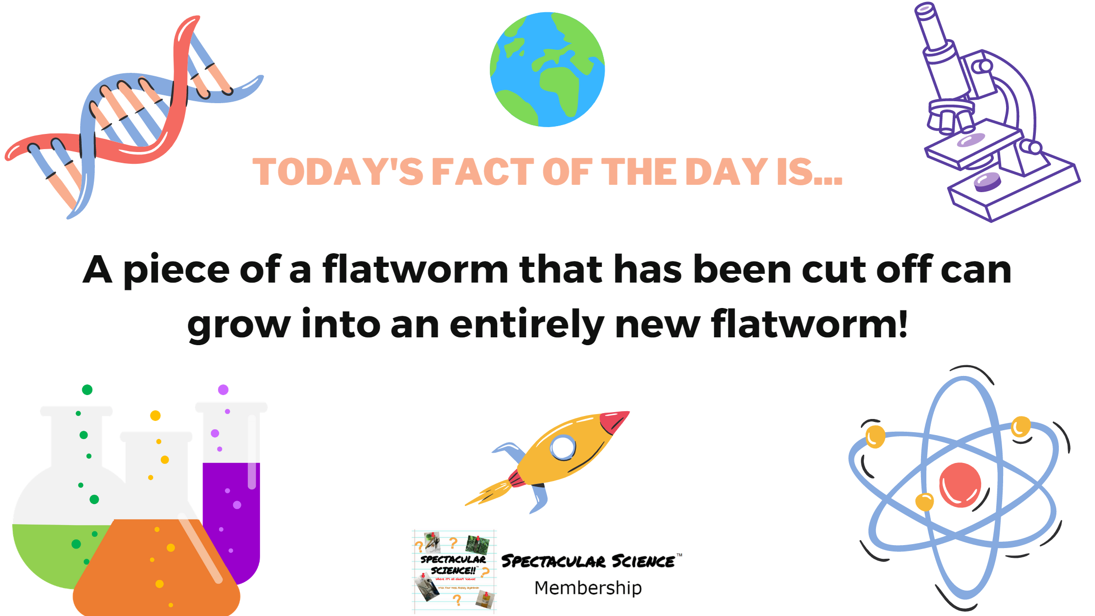 Fact of the Day Image December 8th