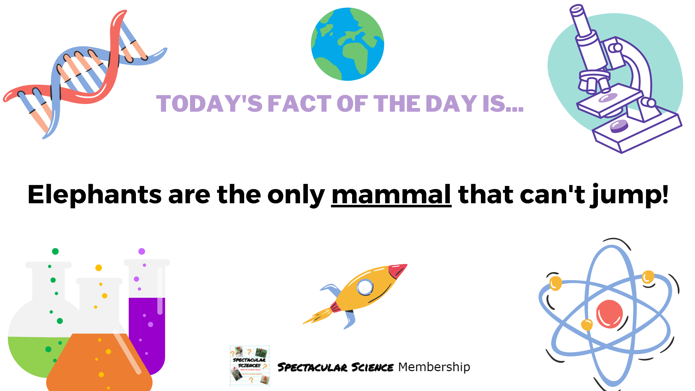 Fact of the Day Image Dec. 8th