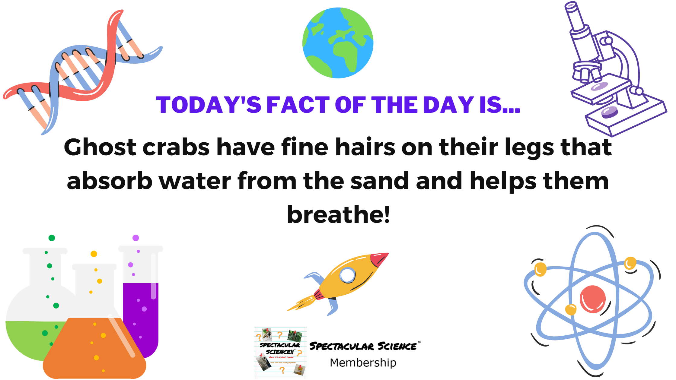 Fact of the Day Image February 1st