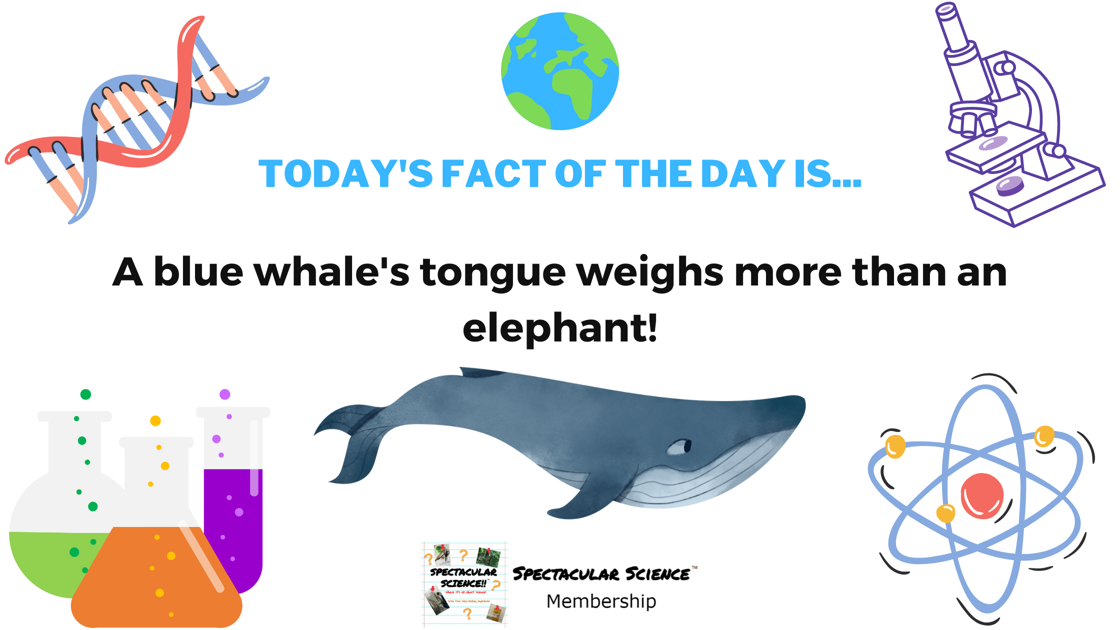 Fact of the Day Image February 11th