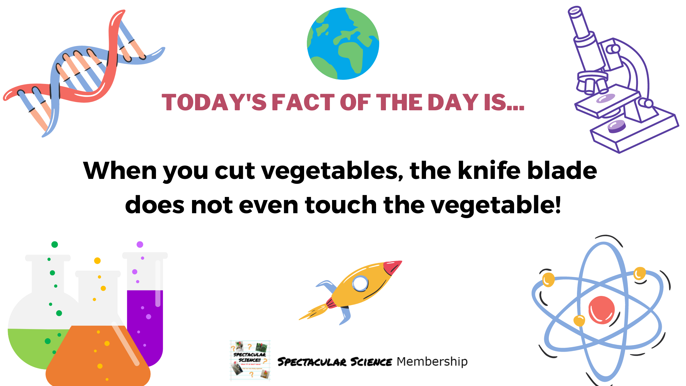 Fact of the Day Image Feb. 11th
