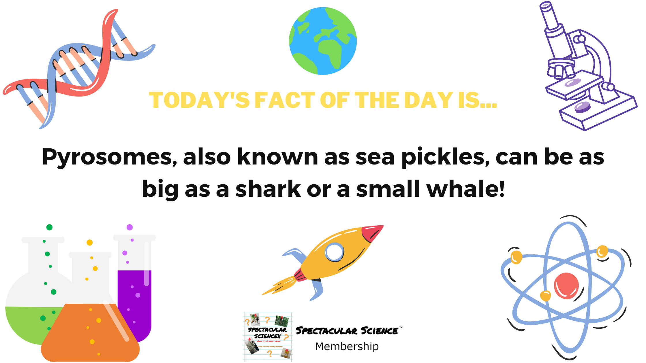 Fact of the Day Image February 12th
