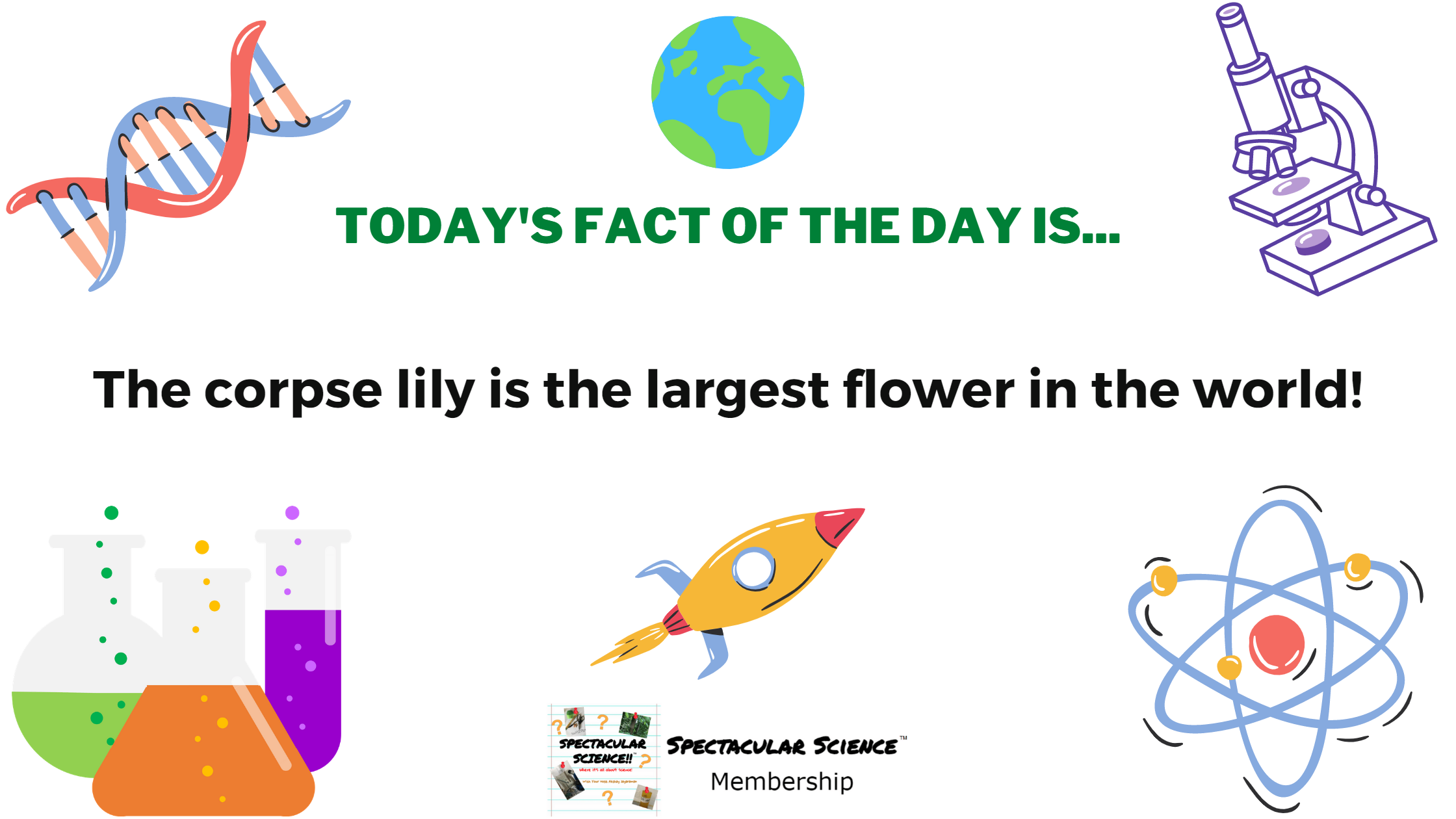 Fact of the Day Image February 13th