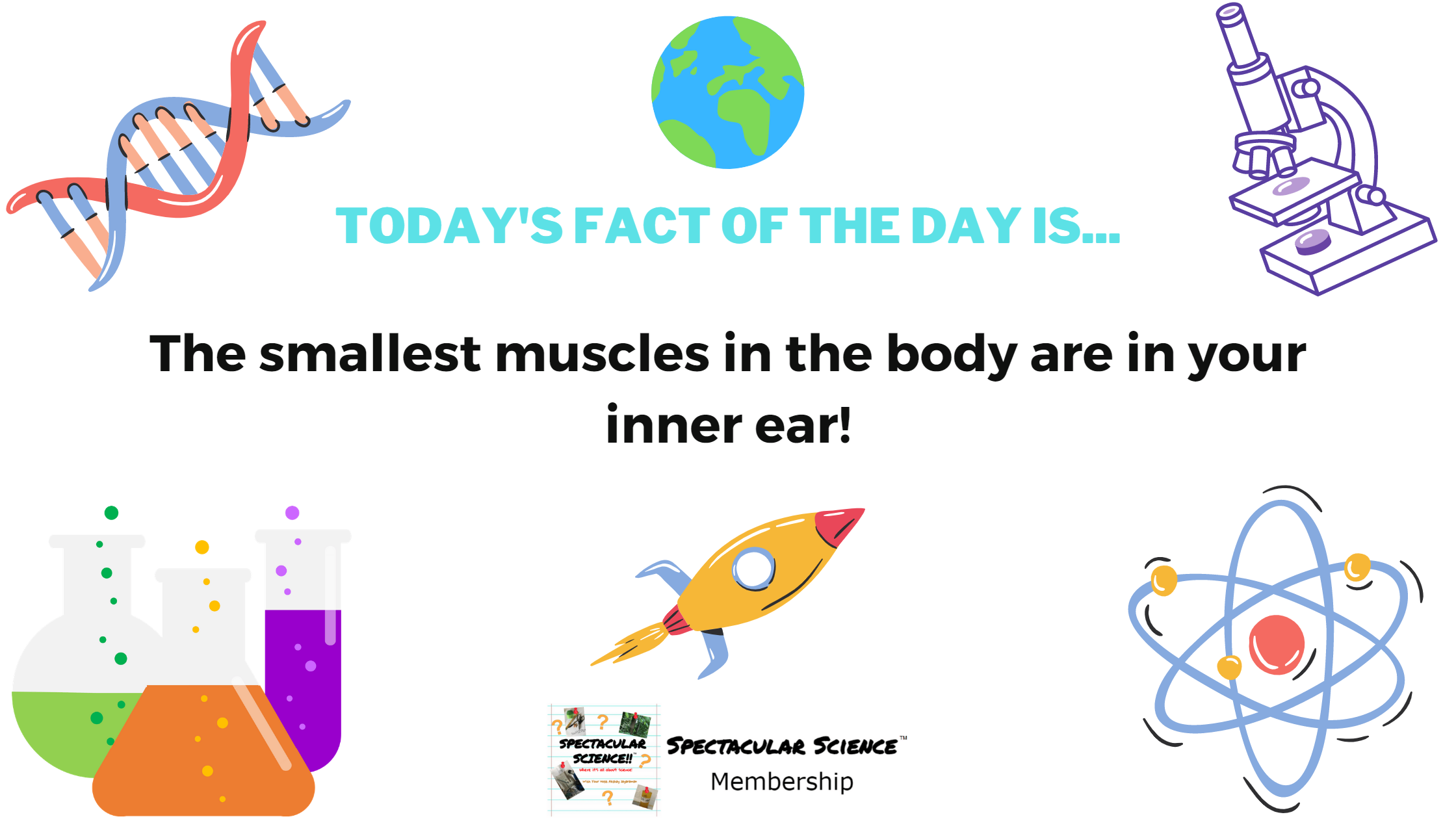 Fact of the Day Image February 17th