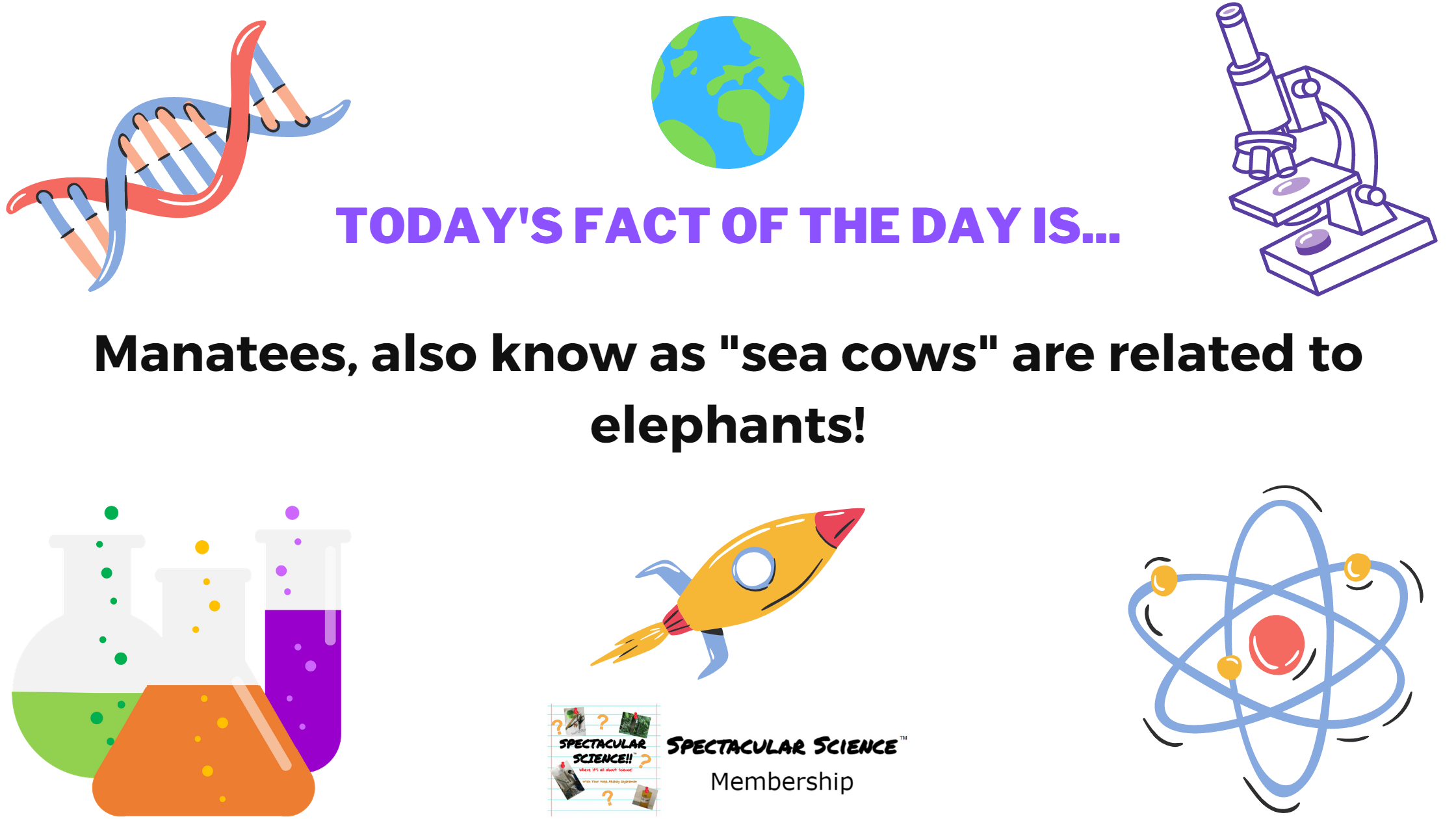 Fact of the Day Image February 18th