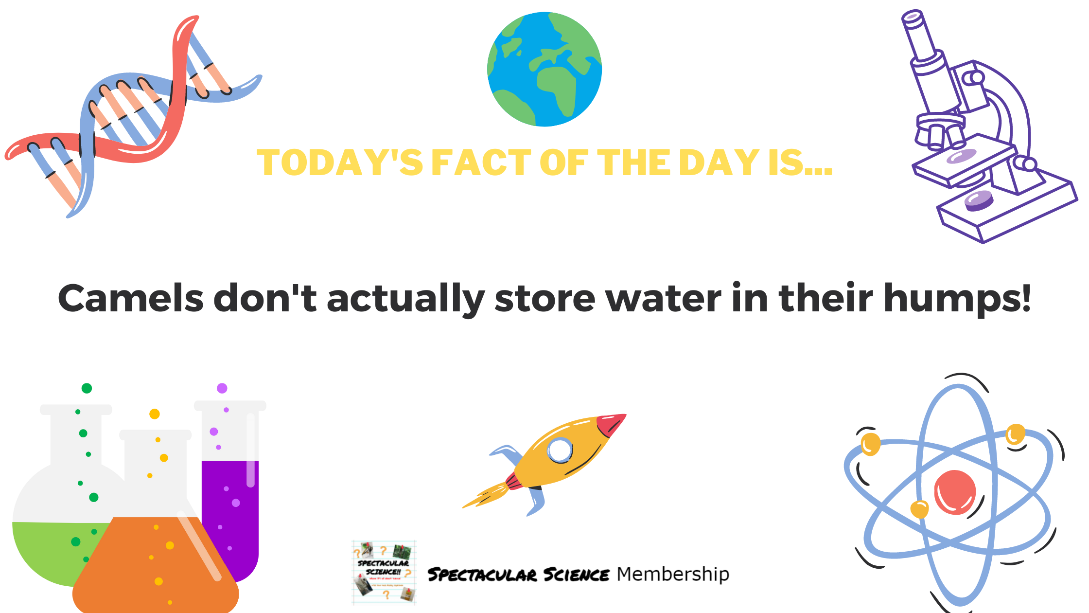 Fact of the Day Image Feb. 20th