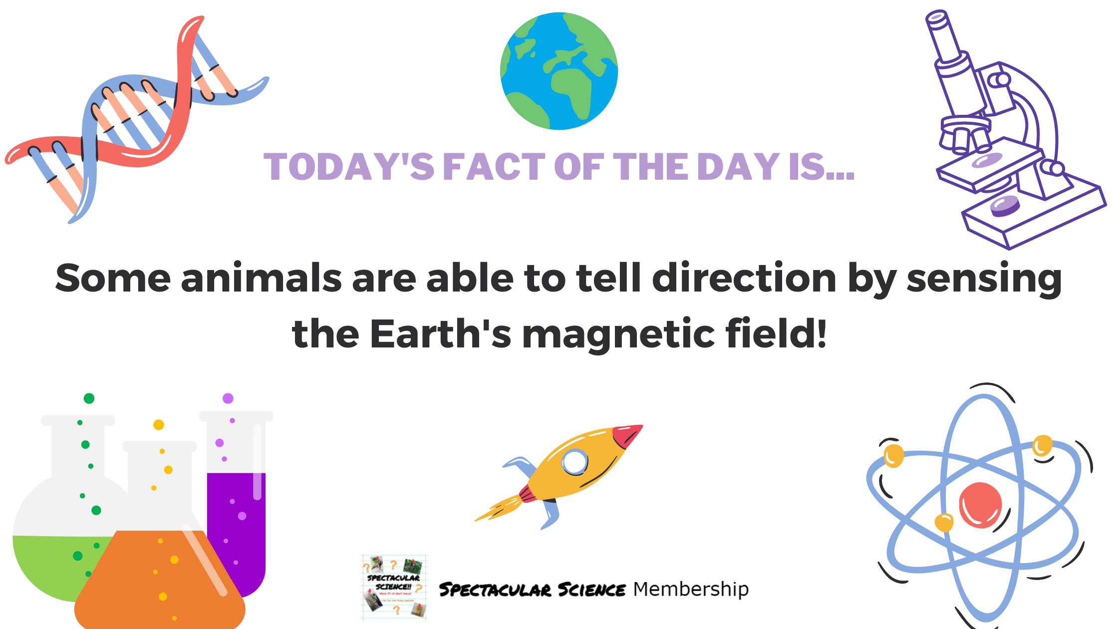 Fact of the Day Image Feb. 22nd