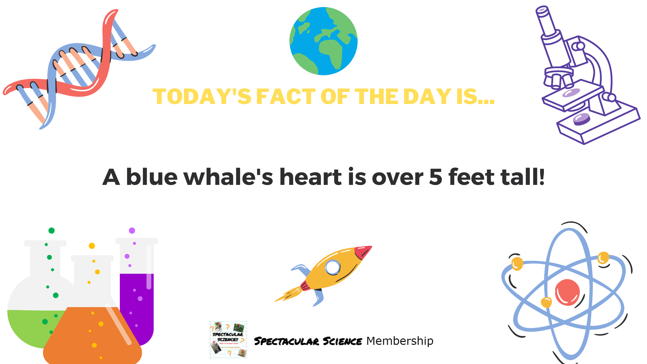 Fact of the Day Image Feb. 23rd