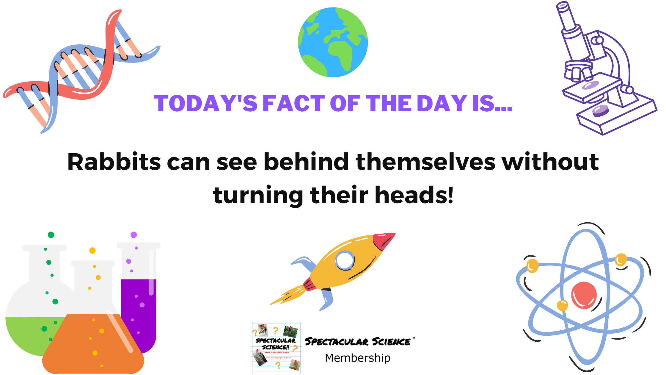 Fact of the Day Image February 24th