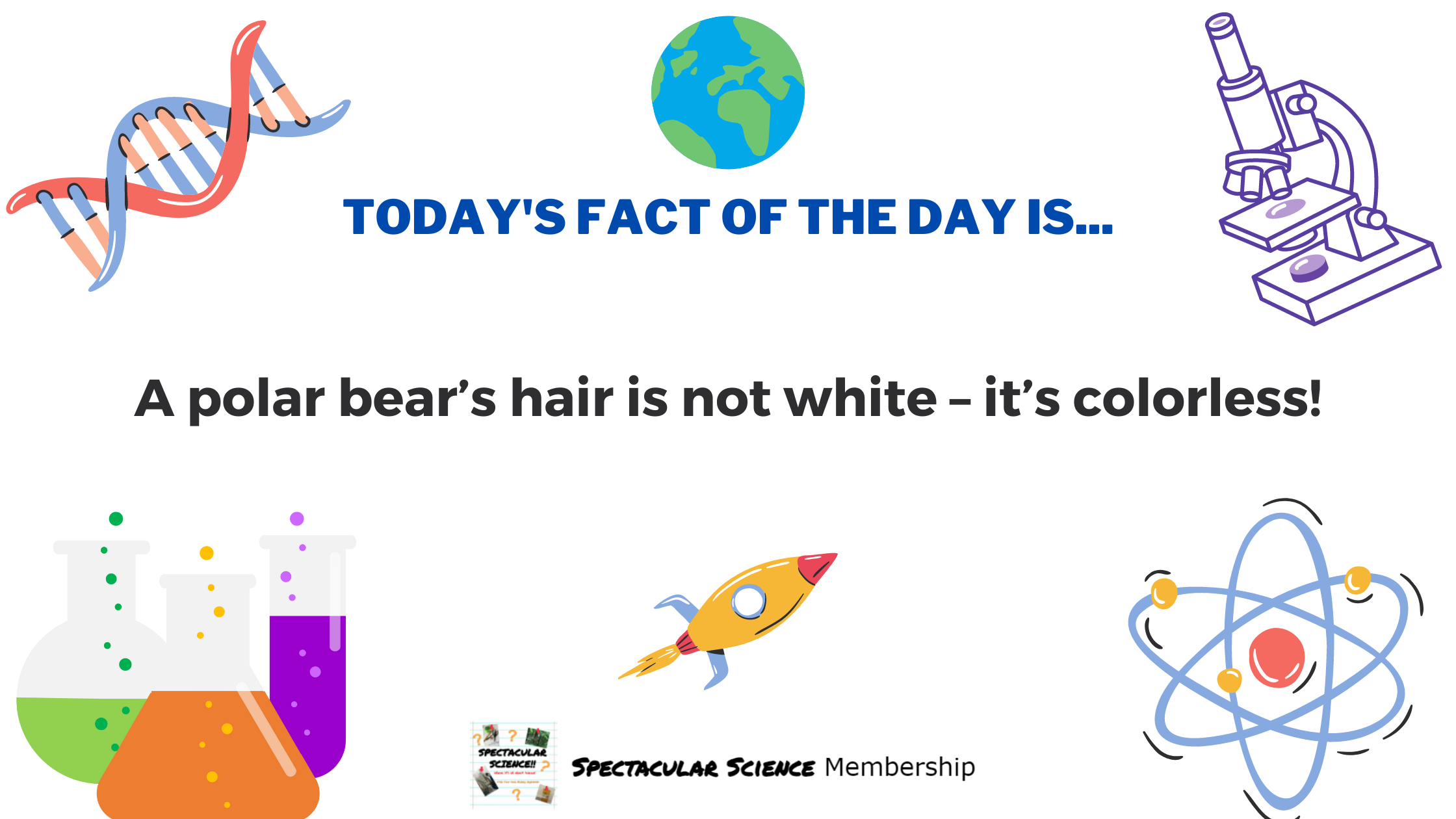 Fact of the Day Image Feb. 25th