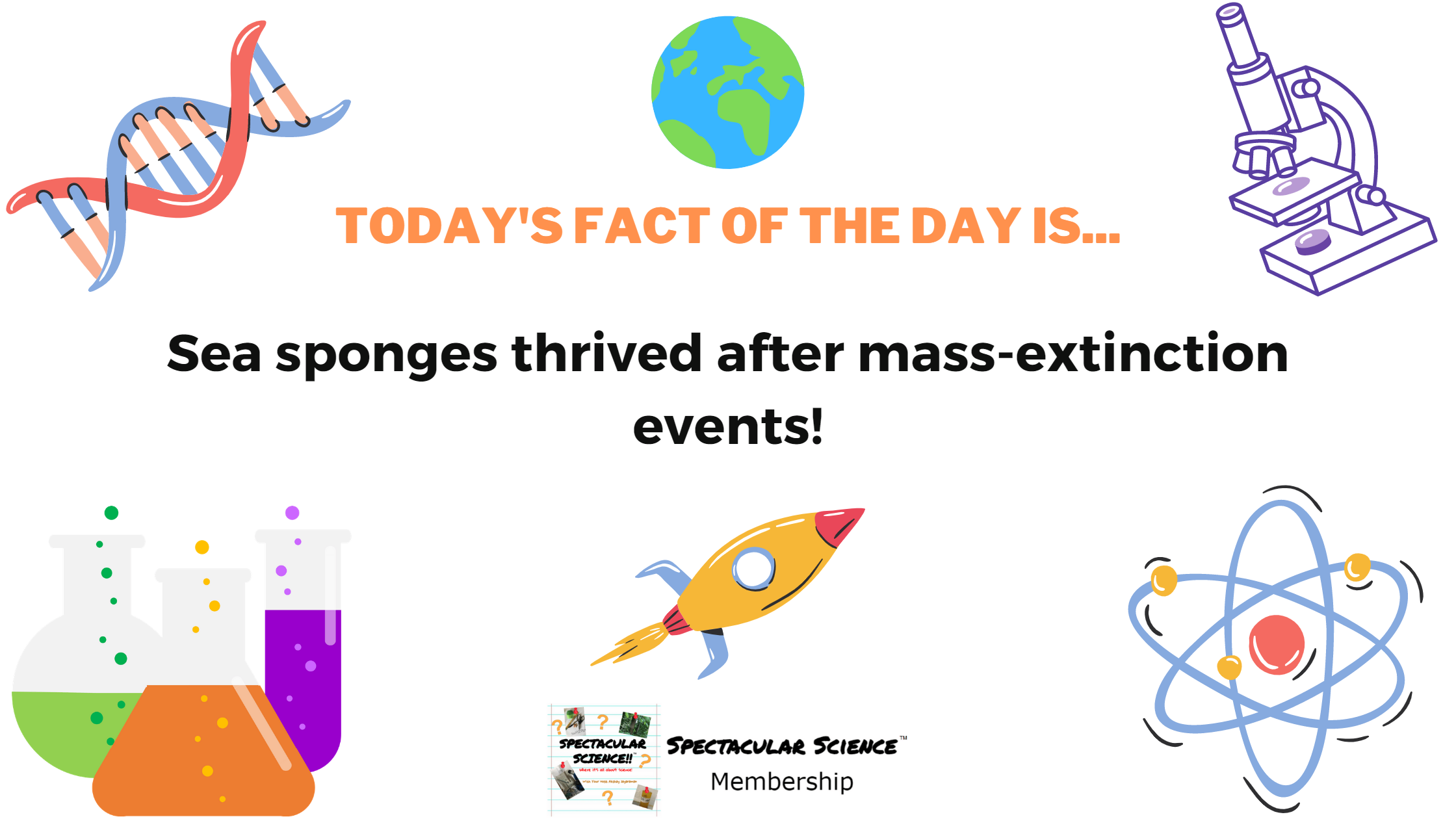 Fact of the Day Image February 28th