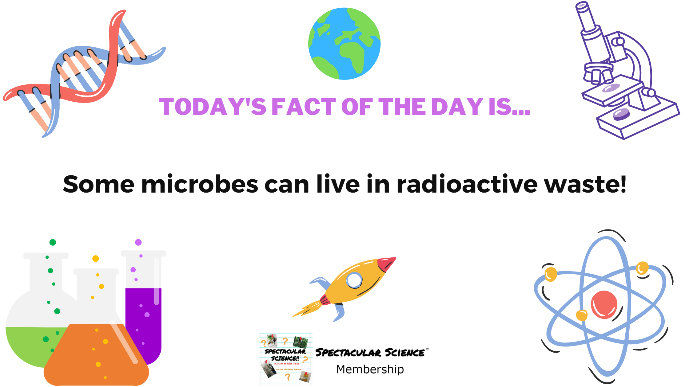 Fact of the Day Image February 3rd