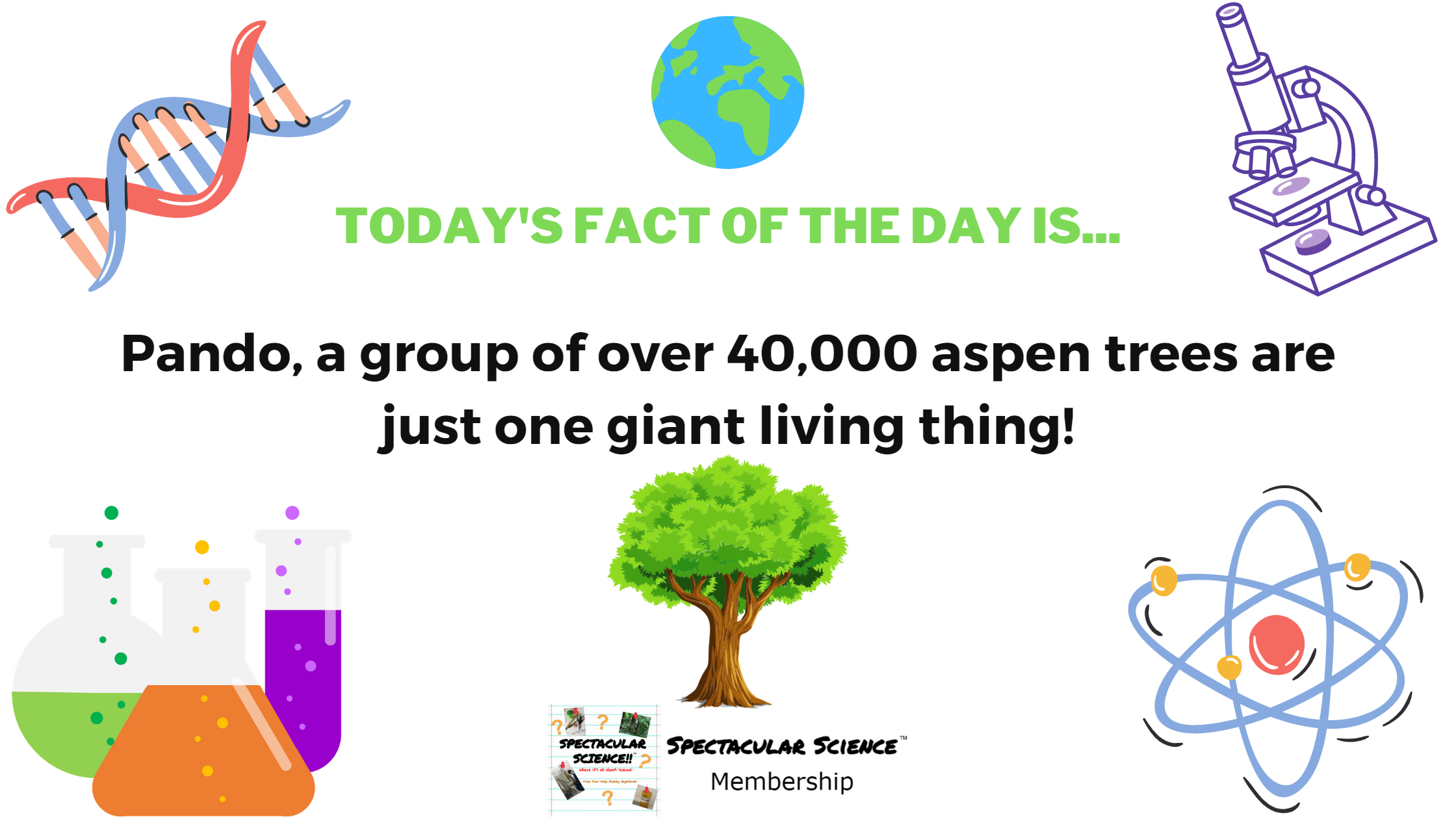 Fact of the Day Image February 5th
