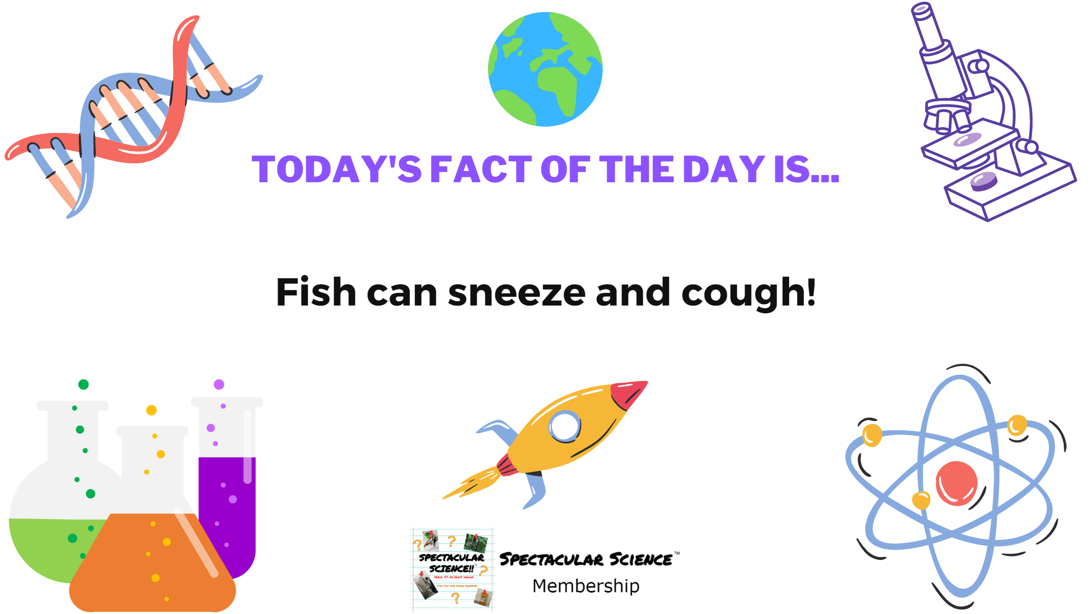Fact of the Day Image February 8th