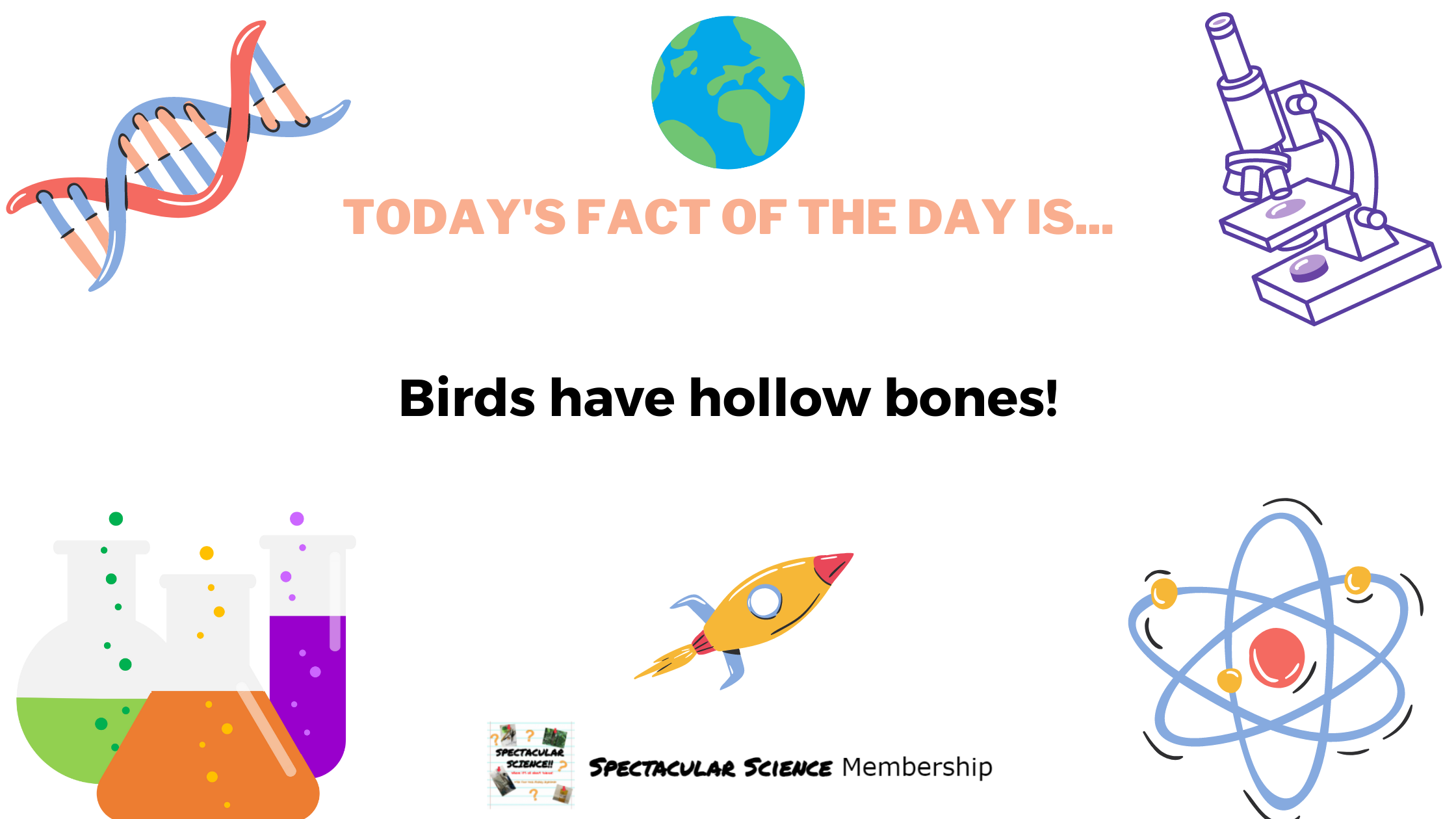 Fact of the Day Image Feb. 9th