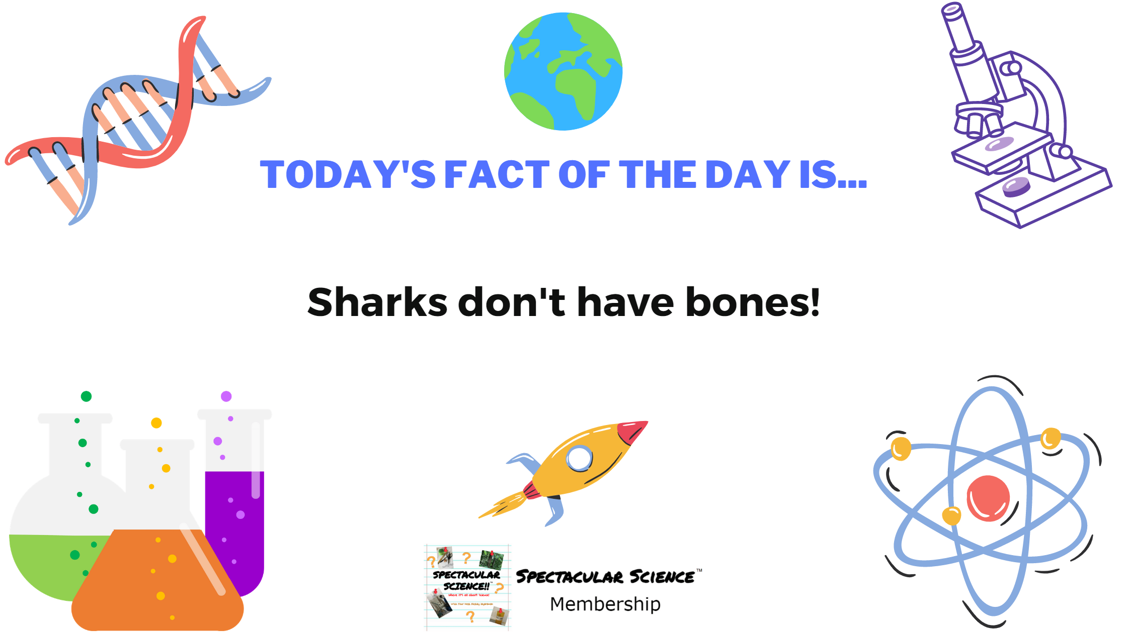 Fact of the Day Image January 12th