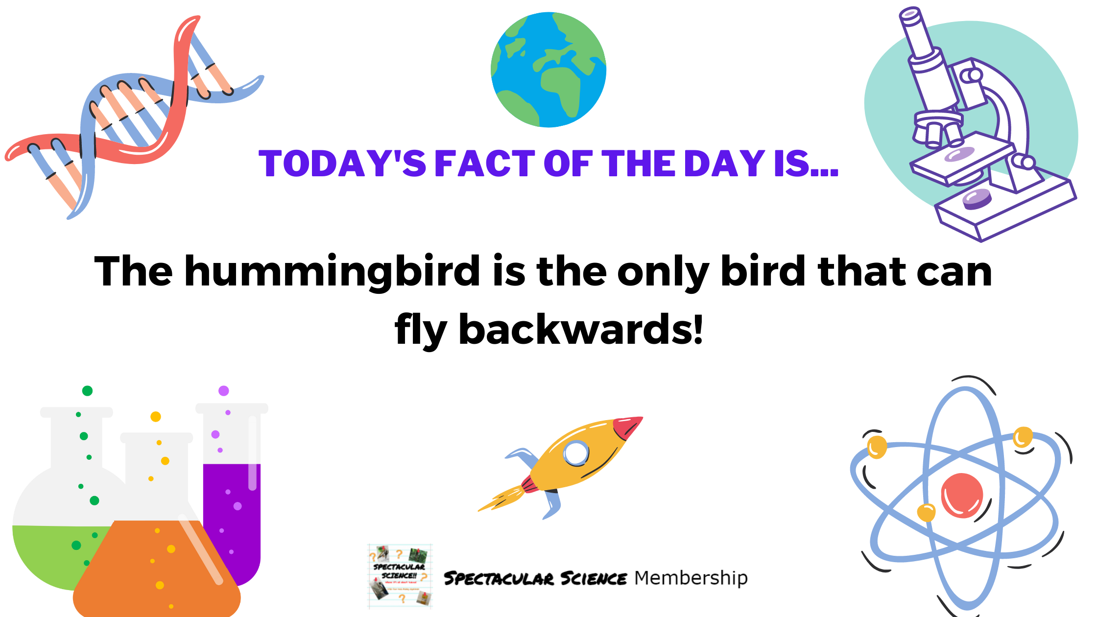 Fact of the Day Image Jan. 13th