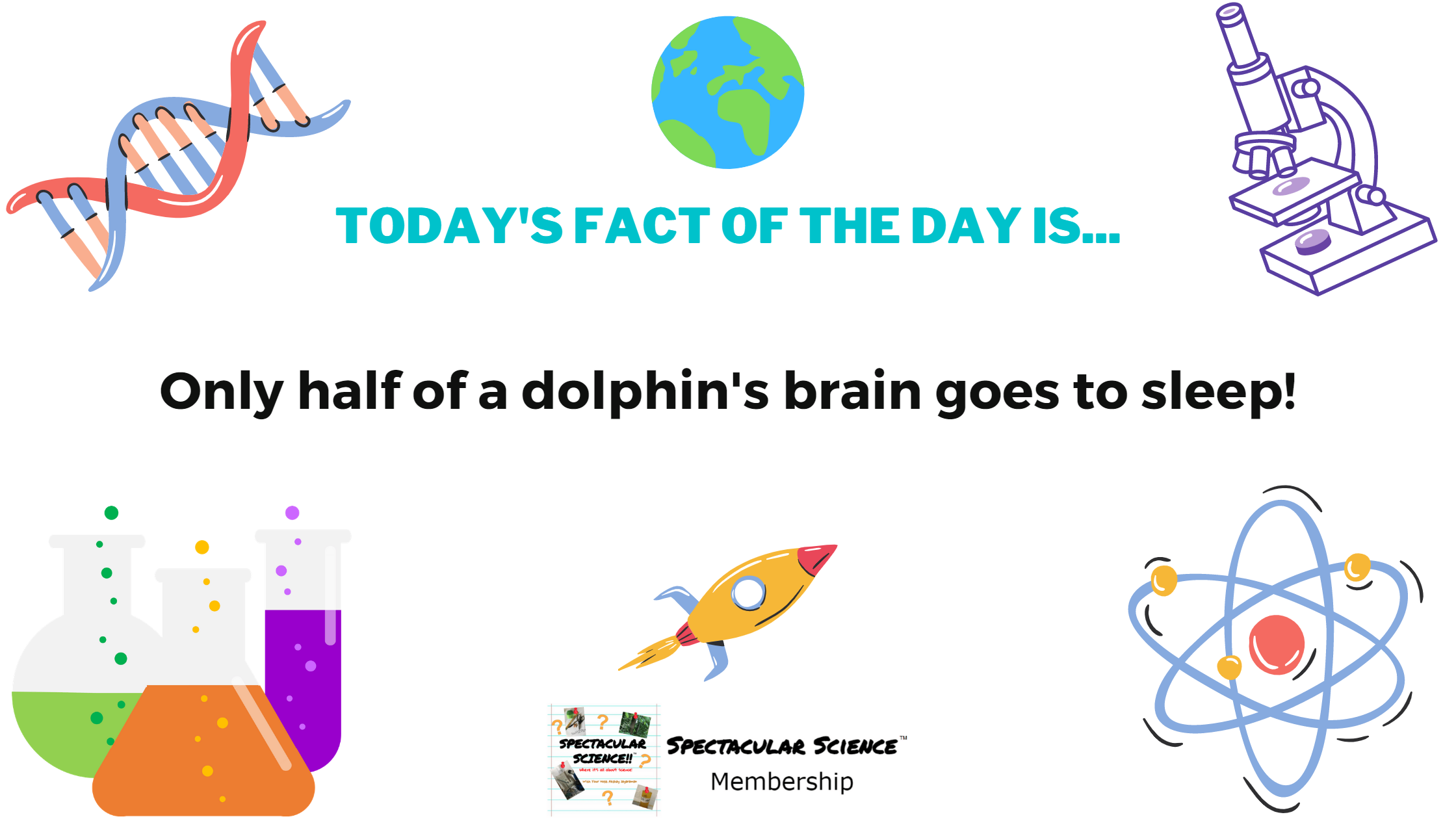 Fact of the Day Image January 16th