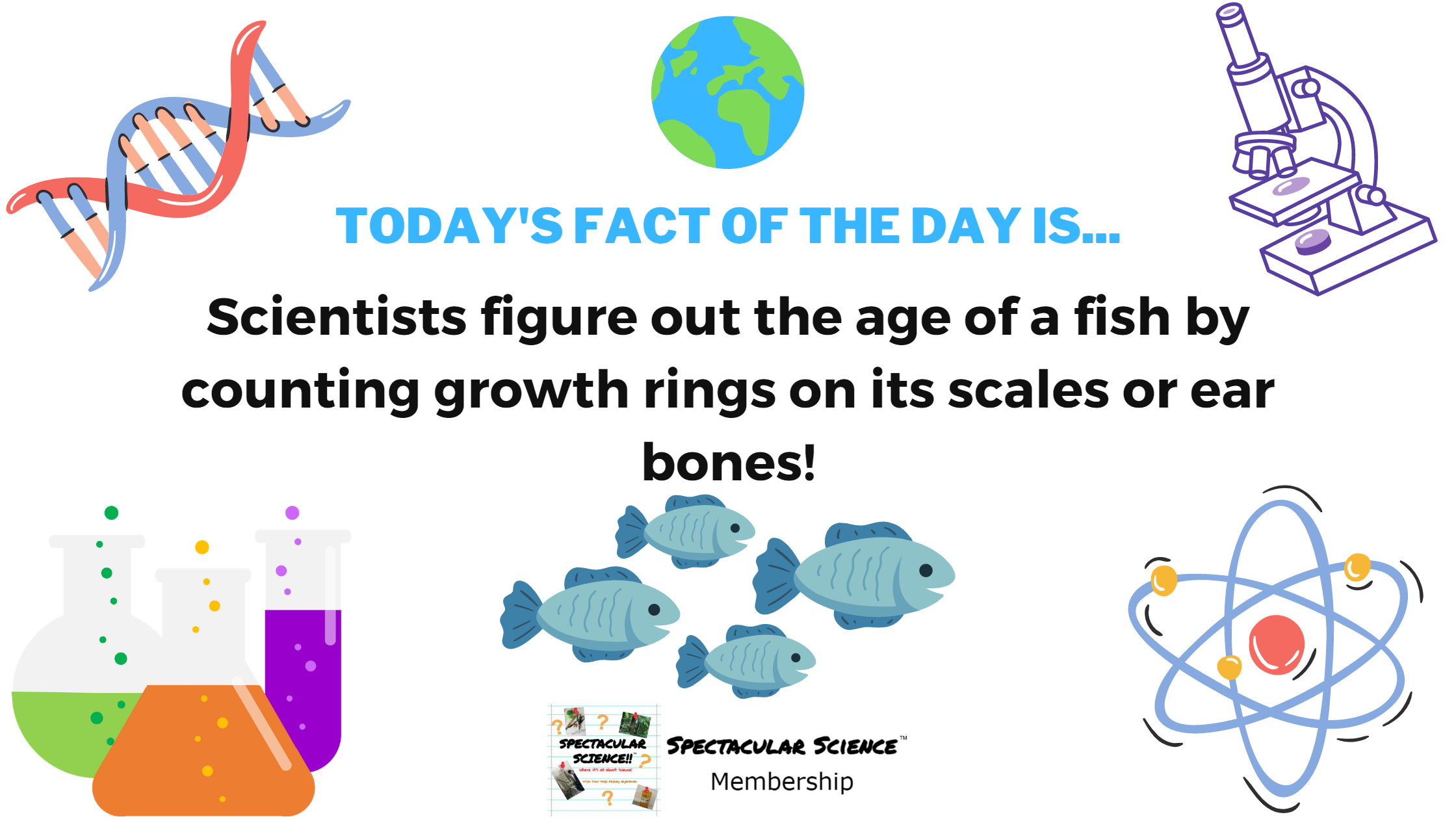 Fact of the Day Image January 18th