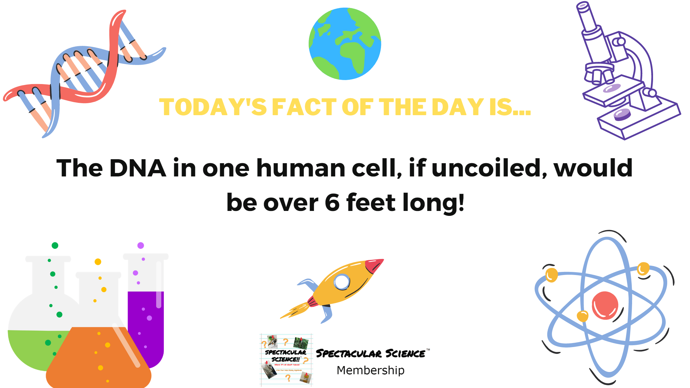 Fact of the Day Image January 2nd