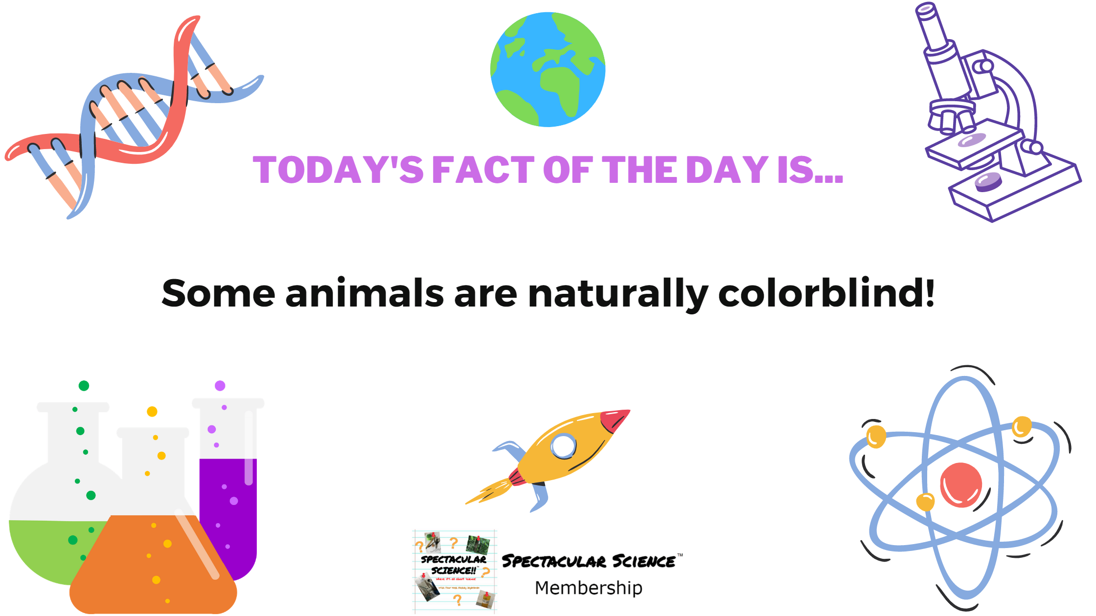 Fact of the Day Image January 20th