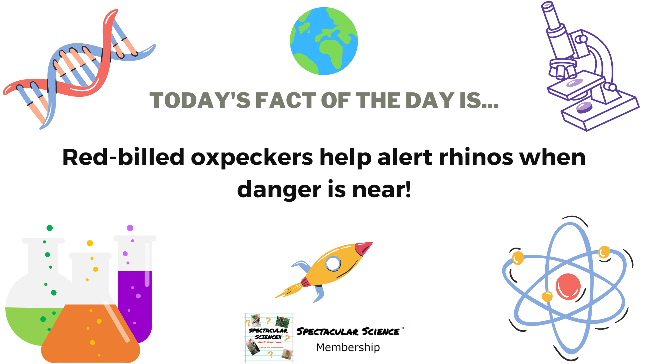 Fact of the Day Image January 25th