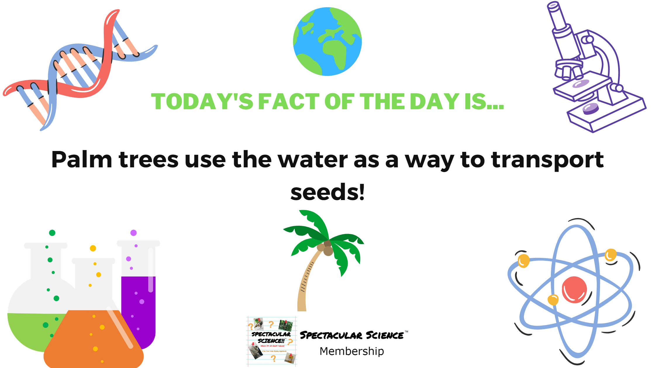 Fact of the Day Image January 3rd